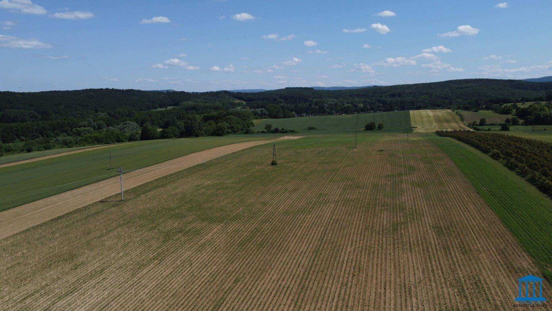 Weitläufige Landschaftsaufnahme mit landwirtschaftlichen Feldern und einem Waldgebiet am Horizont.
