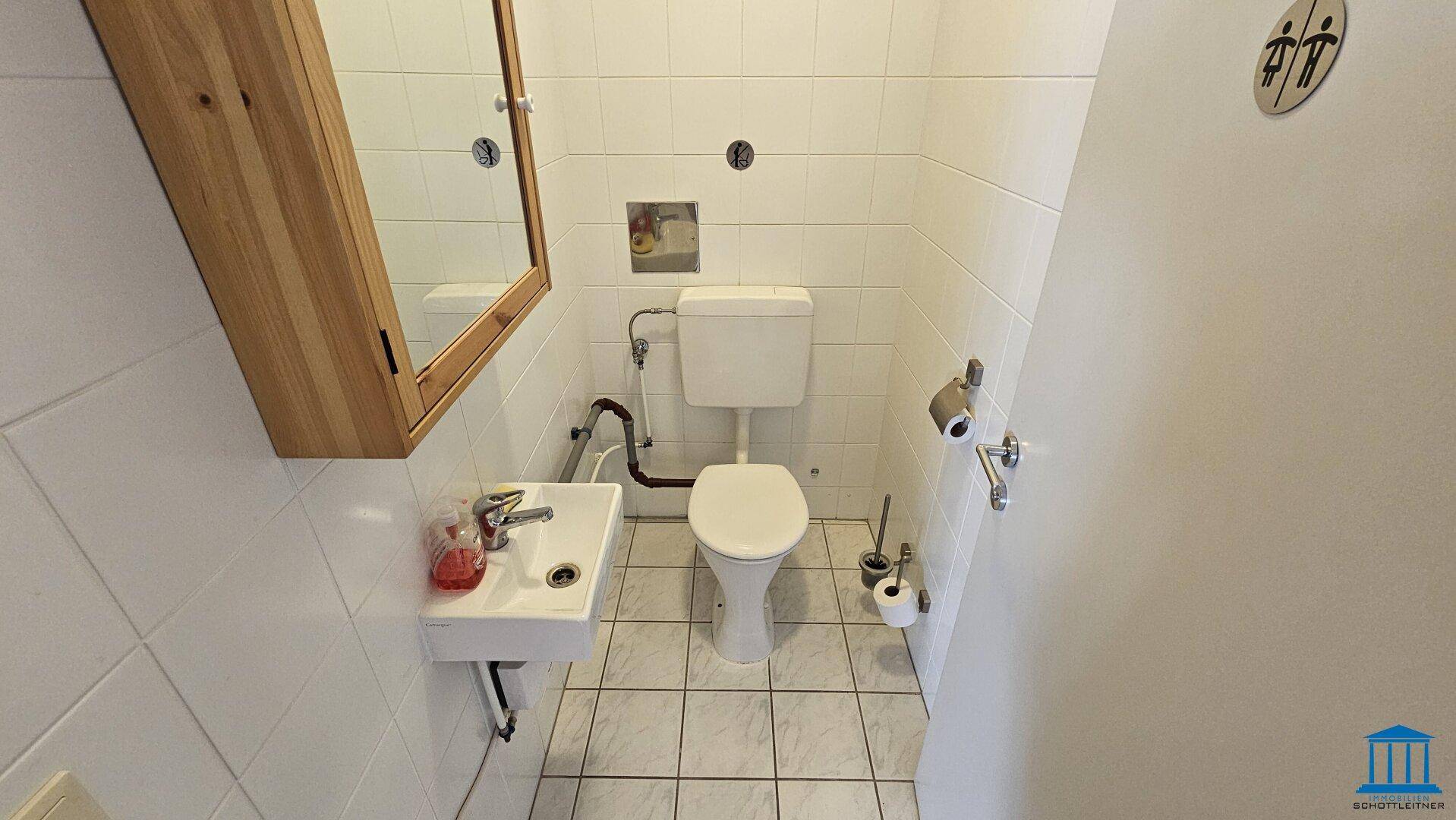 Kleines, gefliestes WC mit Toilette, Handwaschbecken und Spiegelschrank.