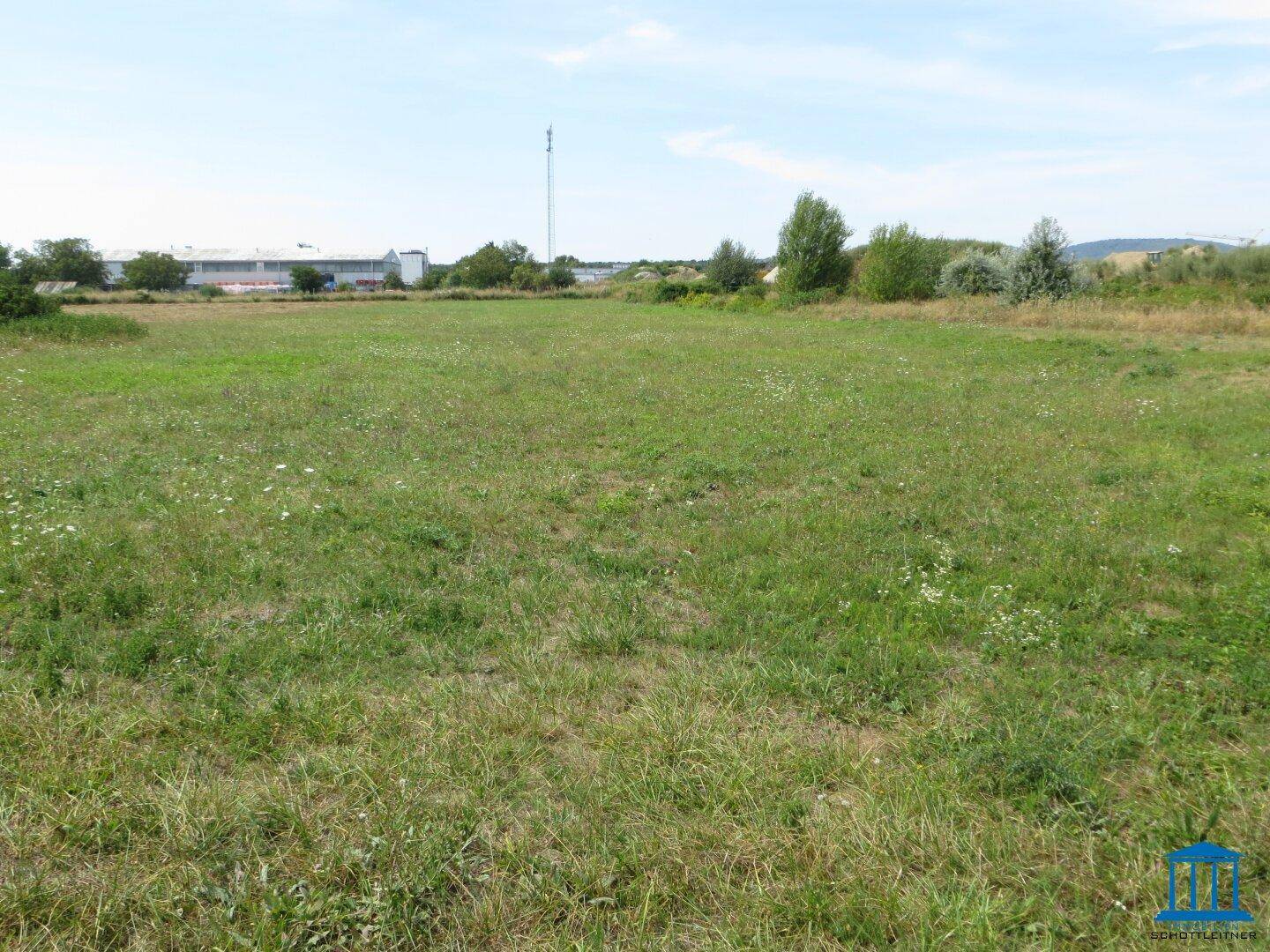 Offenes Grasland mit natürlicher Vegetation und Blick auf entfernte Gebäude und einen Funkturm.