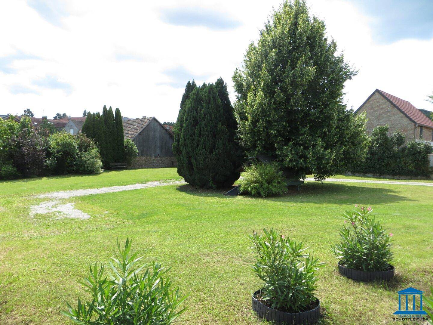 Gepflegter Garten mit Rasen, jungen Pflanzen und hohen Bäumen im Hintergrund.