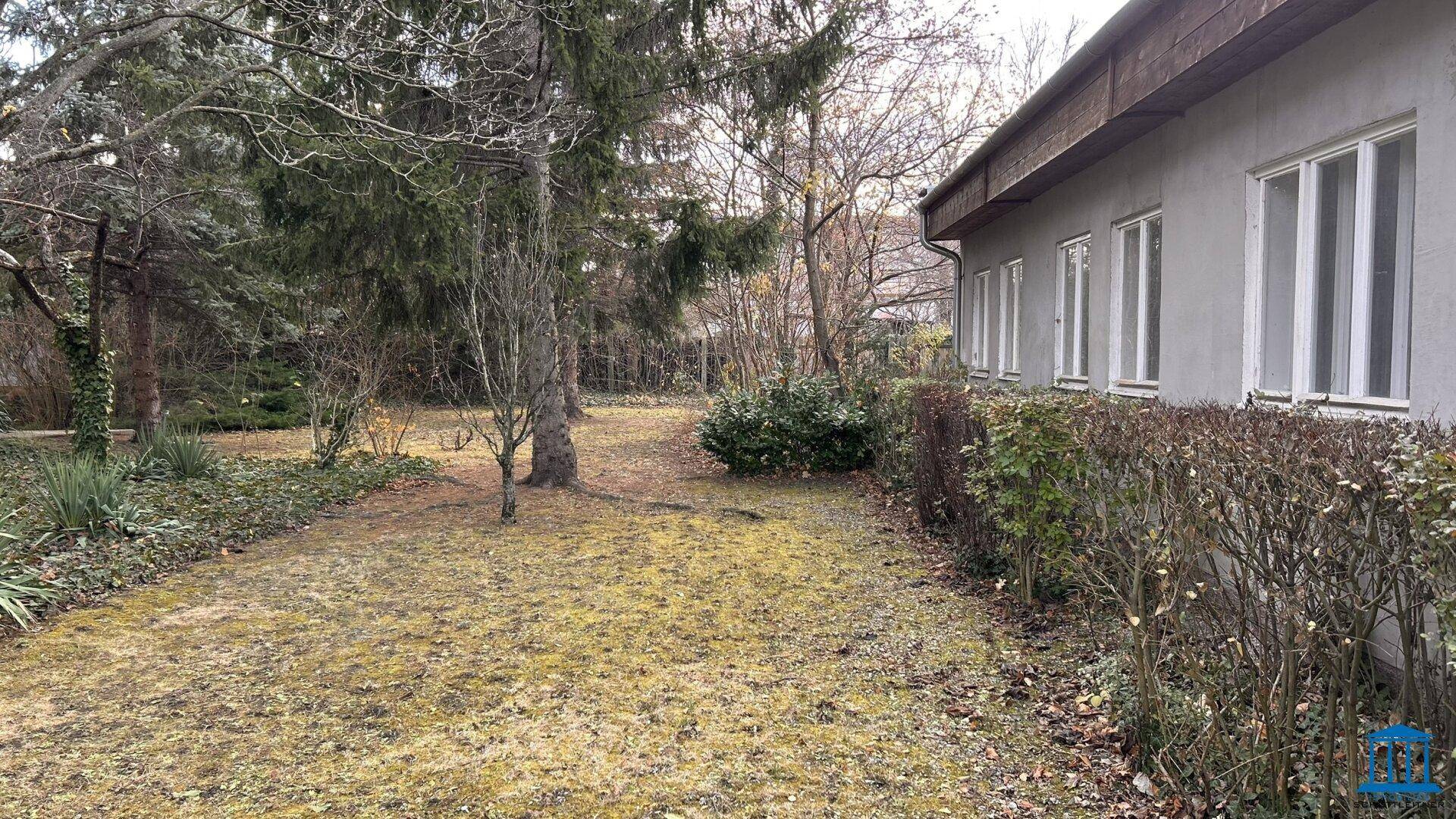 Großer Gartenbereich mit Bäumen und Sträuchern neben einem Gebäude mit vielen Fenstern.