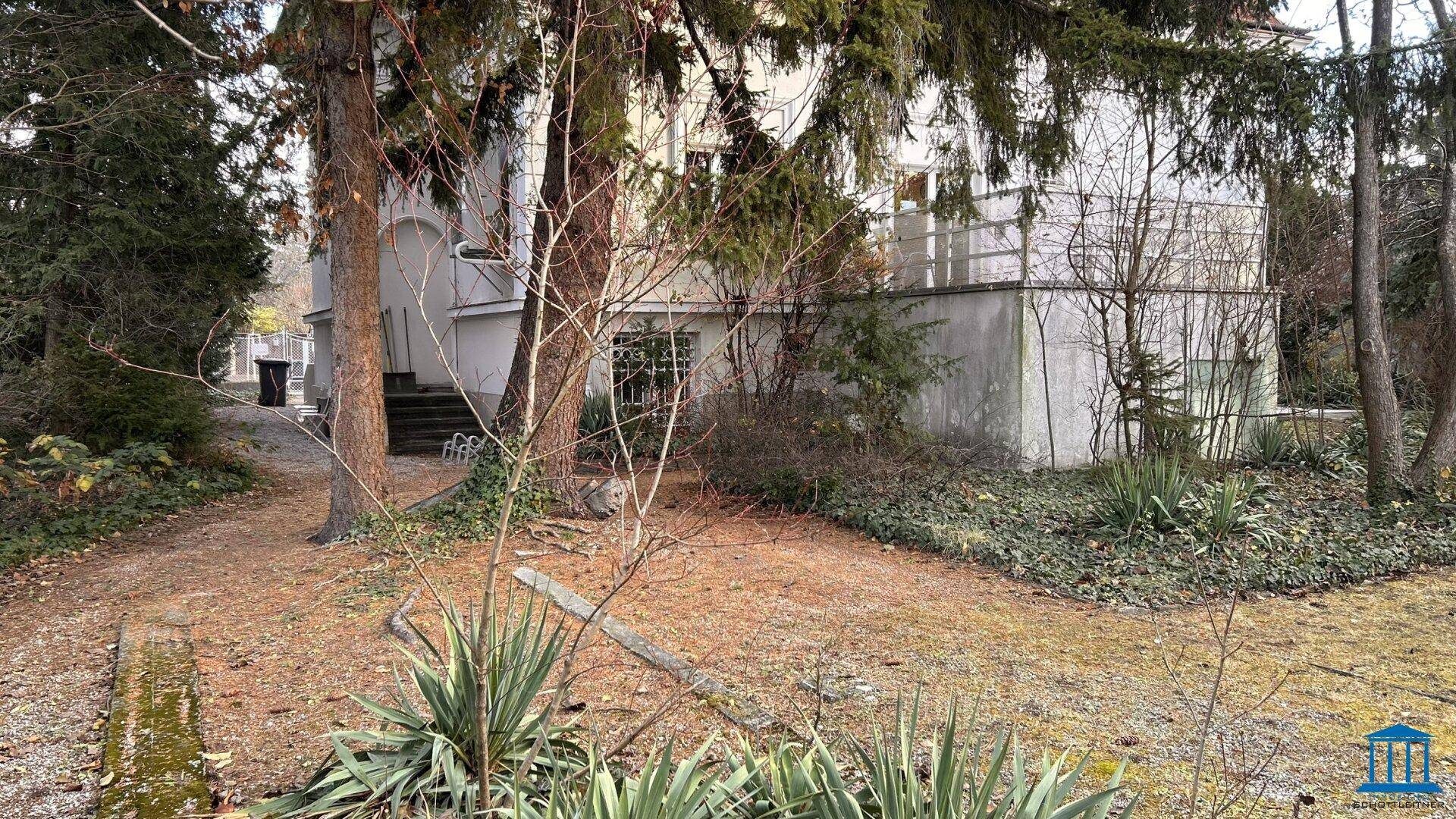 Naturbelassener Gartenbereich mit Bäumen und Sträuchern, der zu einem älteren Gebäude gehört.