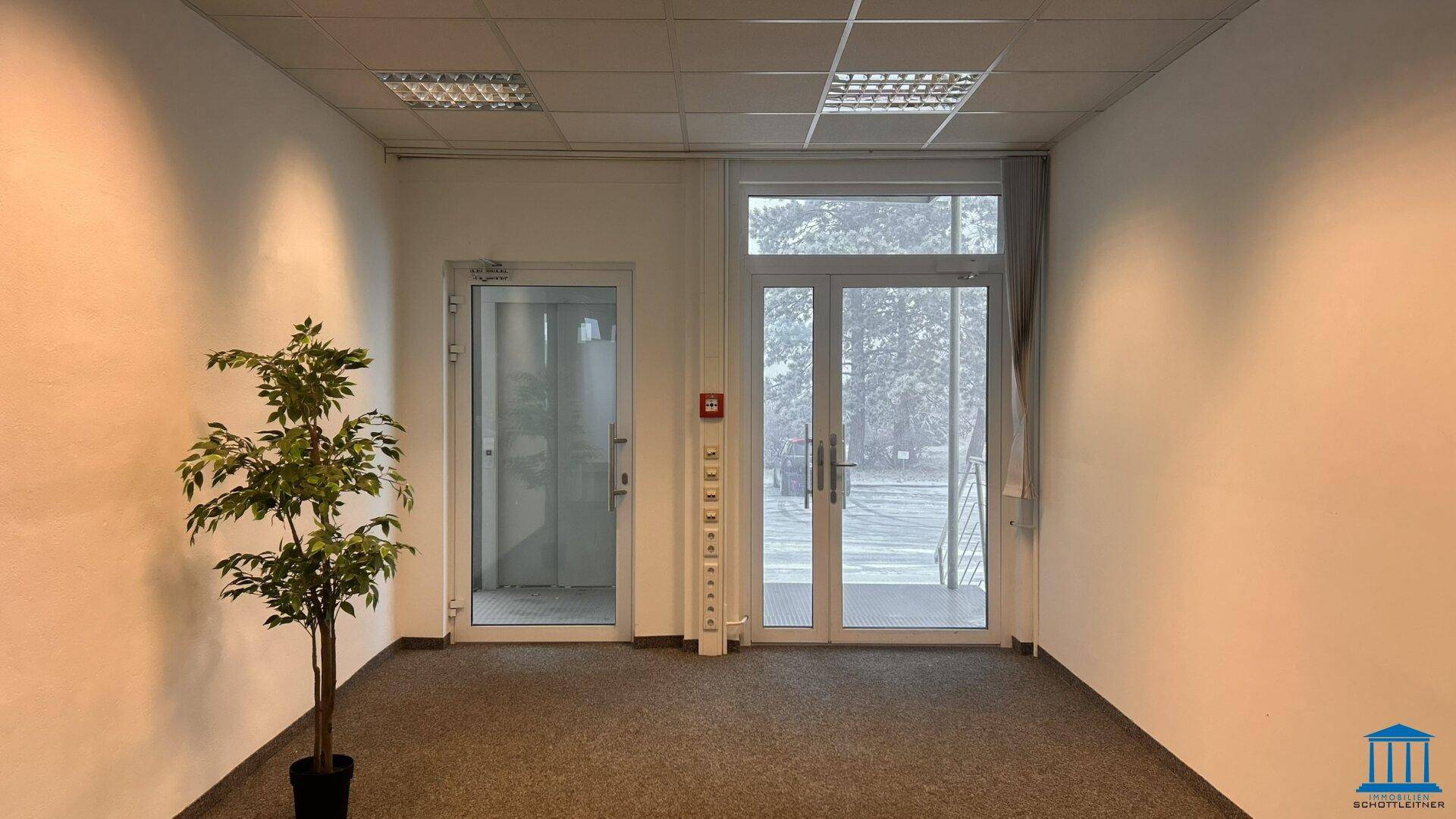 Helles Büro mit Teppichboden, einer Glastür und einem Fenster mit Blick nach draußen.