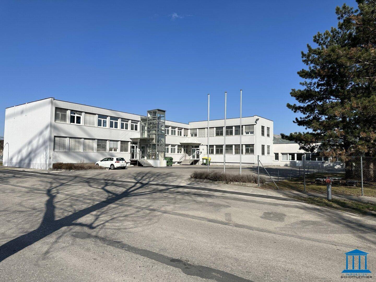 Gesamtansicht eines Gewerbeareals mit mehreren Gebäuden, Parkflächen und einem großen Baum im Vordergrund.