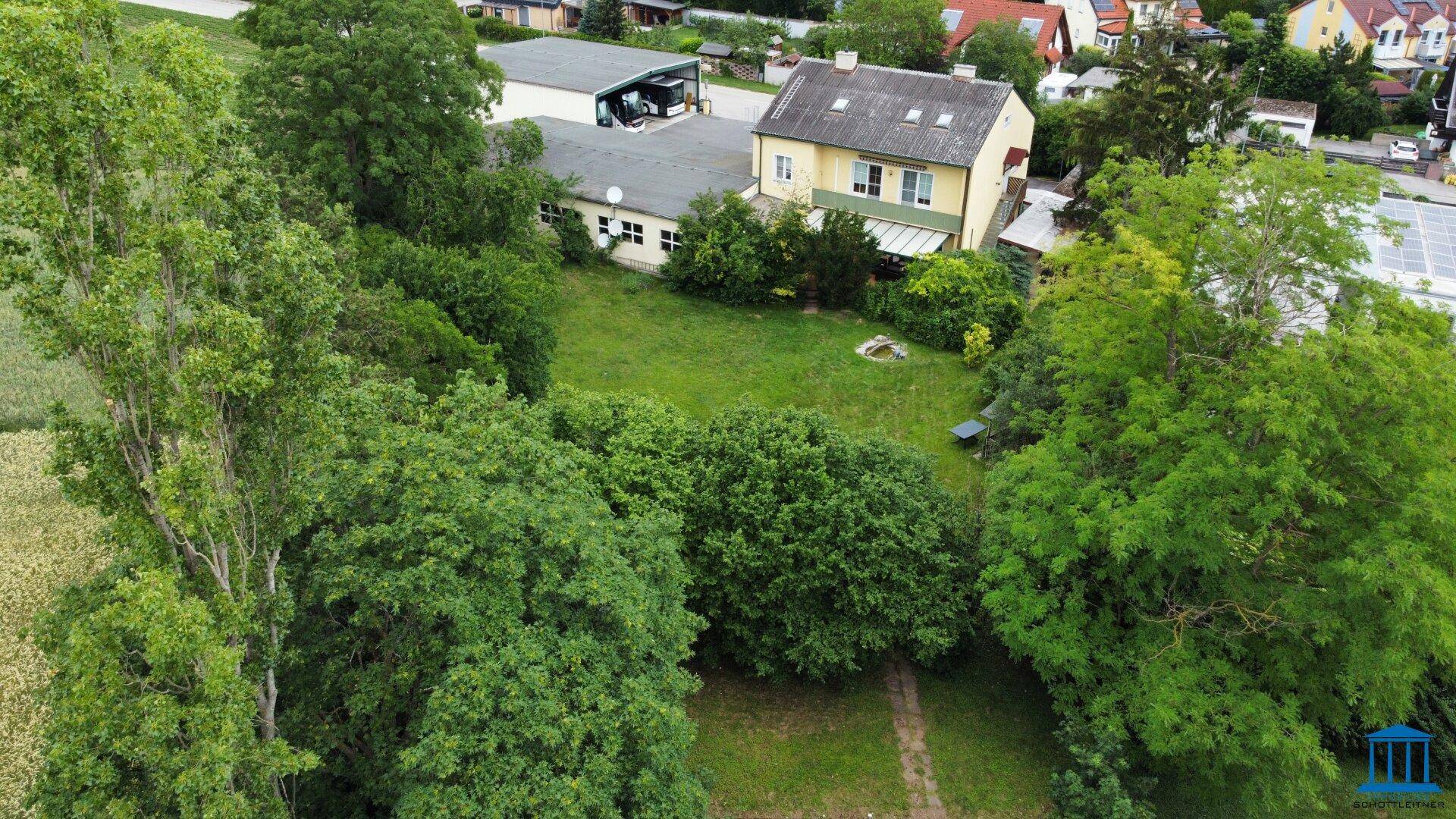 Weitläufiger grüner Gartenbereich mit hohen Bäumen und Sträuchern, angrenzend an Felder.