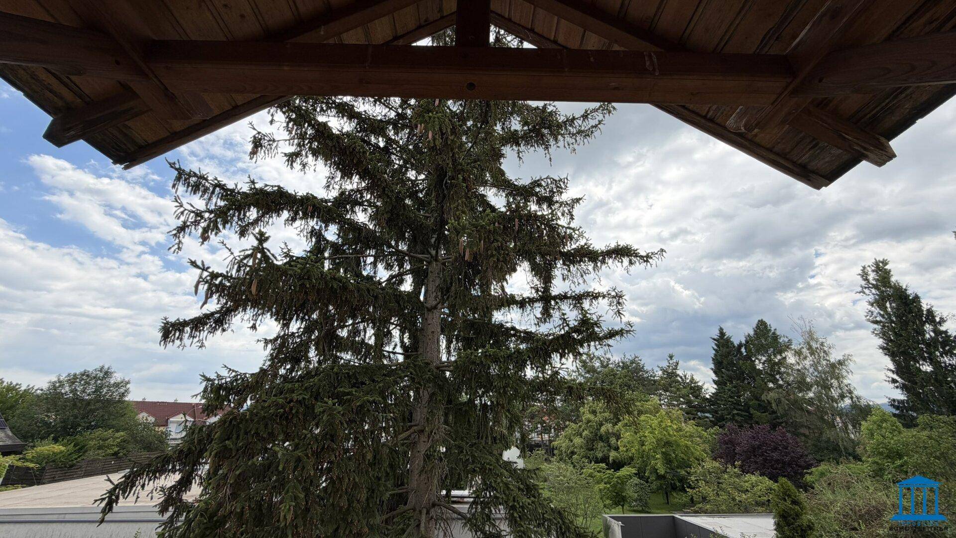 Blick vom Balkon in die Baumwipfel und die grüne Umgebung unter bewölktem Himmel.