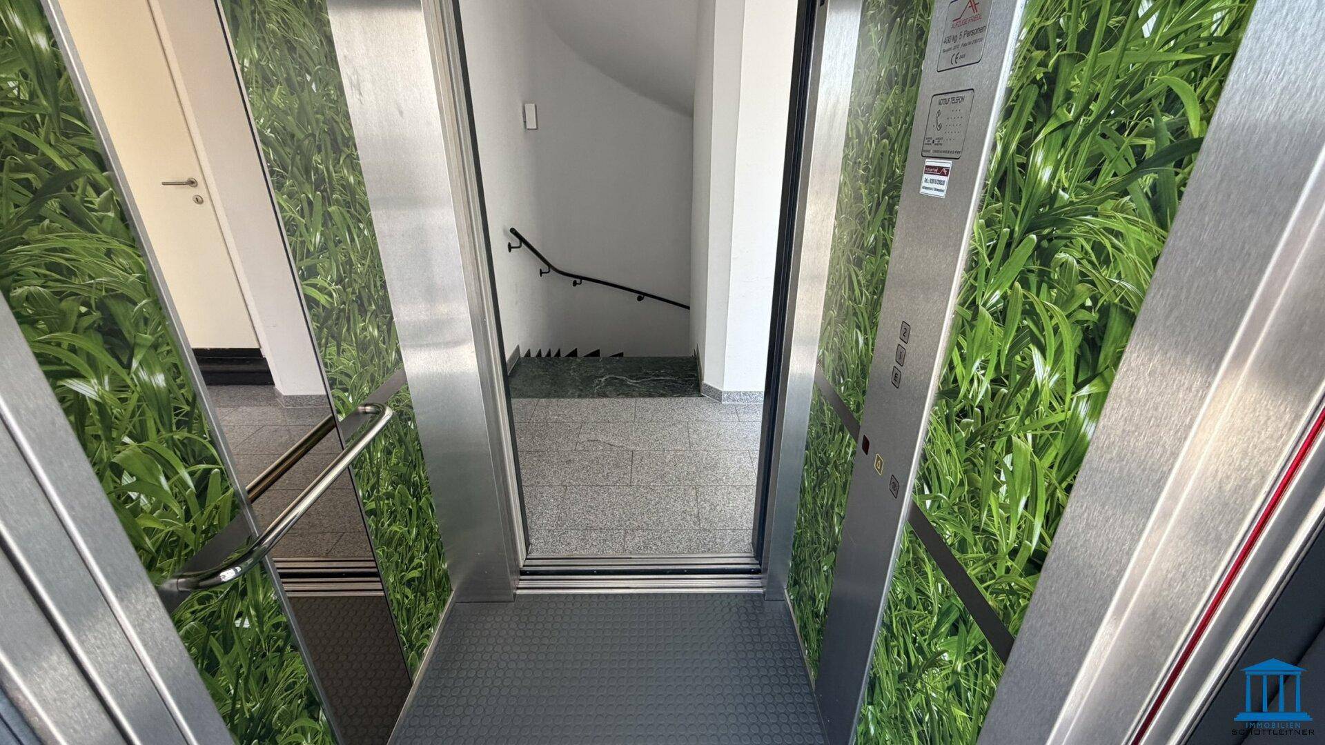 Moderner Aufzug mit grünen Wandverkleidungen und Blick auf das Treppenhaus.