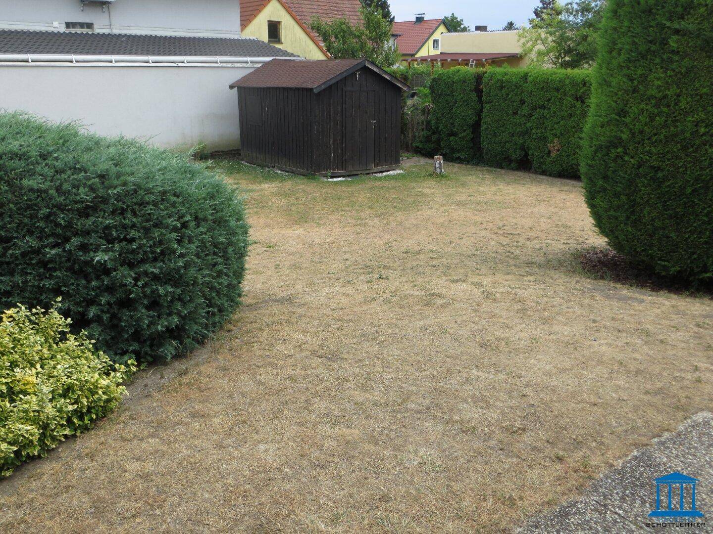 Hinterhofbereich mit trockenem Rasen, einem kleinen Holzschuppen und hohen Hecken als Begrenzung.