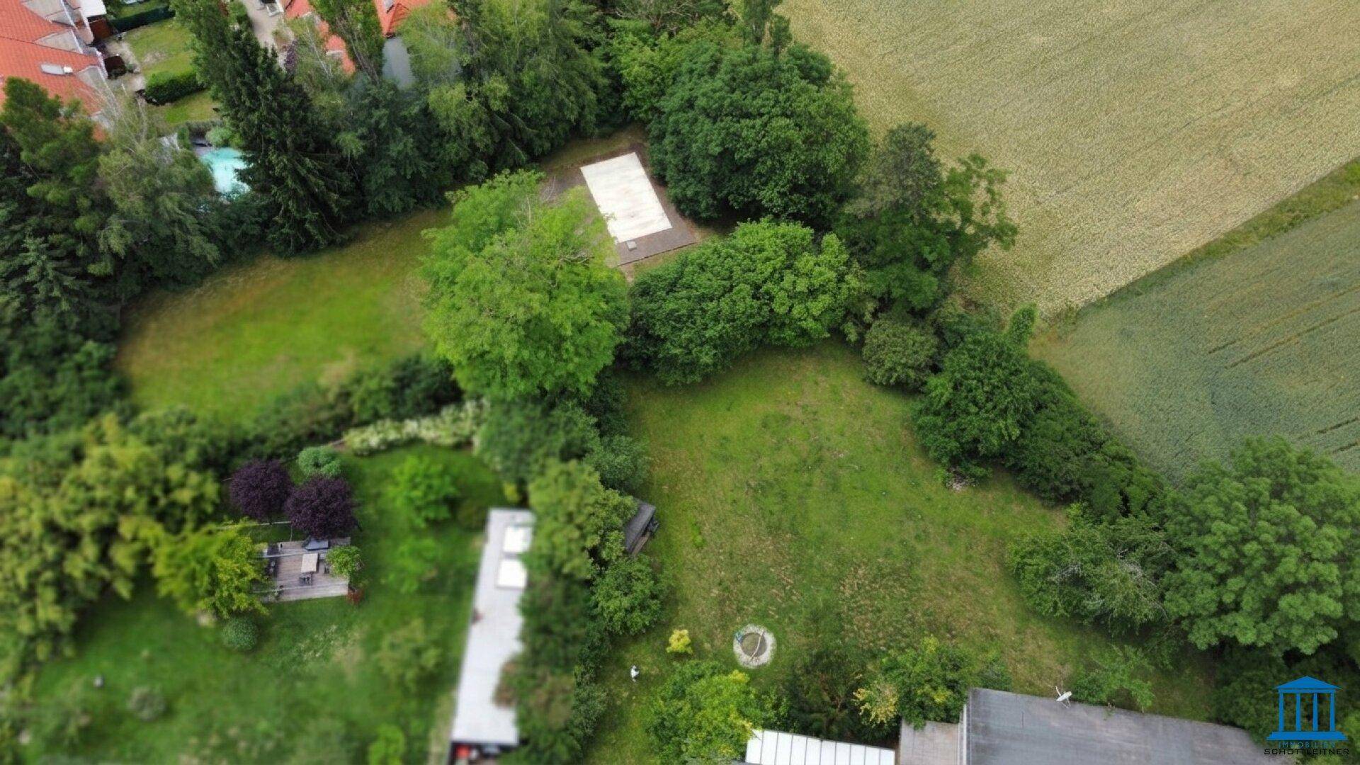 Luftaufnahme des weitläufigen Gartens mit Rasenflächen, Bäumen und einem kleinen befestigten Bereich.
