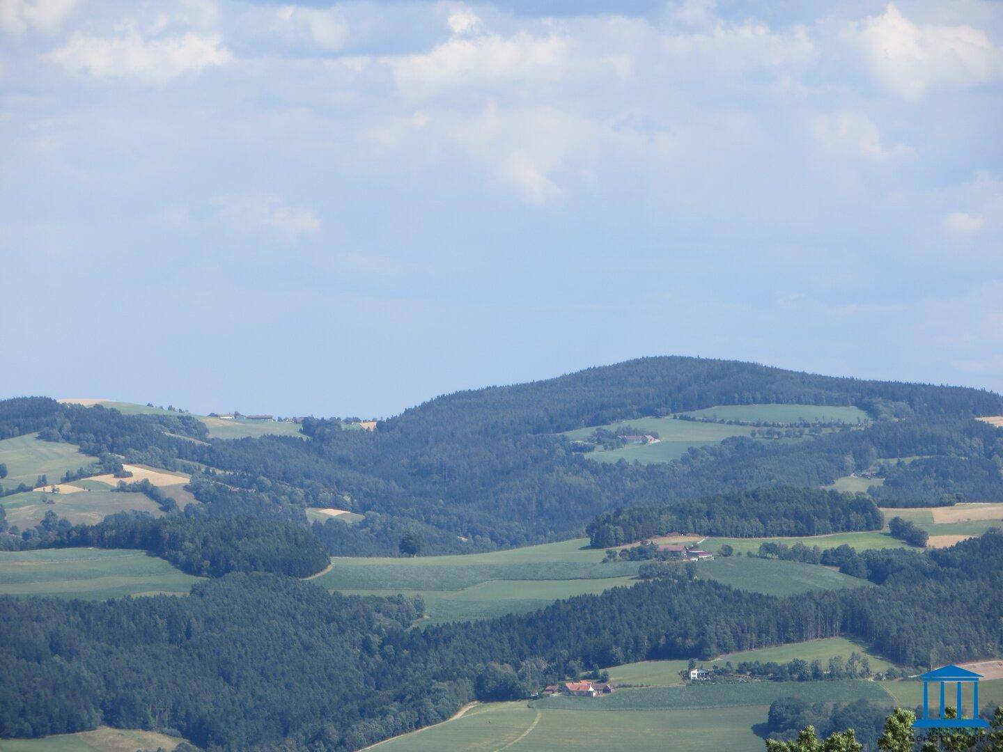 Weitläufiger Blick über sanfte grüne Hügel und Wälder unter einem bewölkten Himmel, der die ländliche Schönheit zeigt.