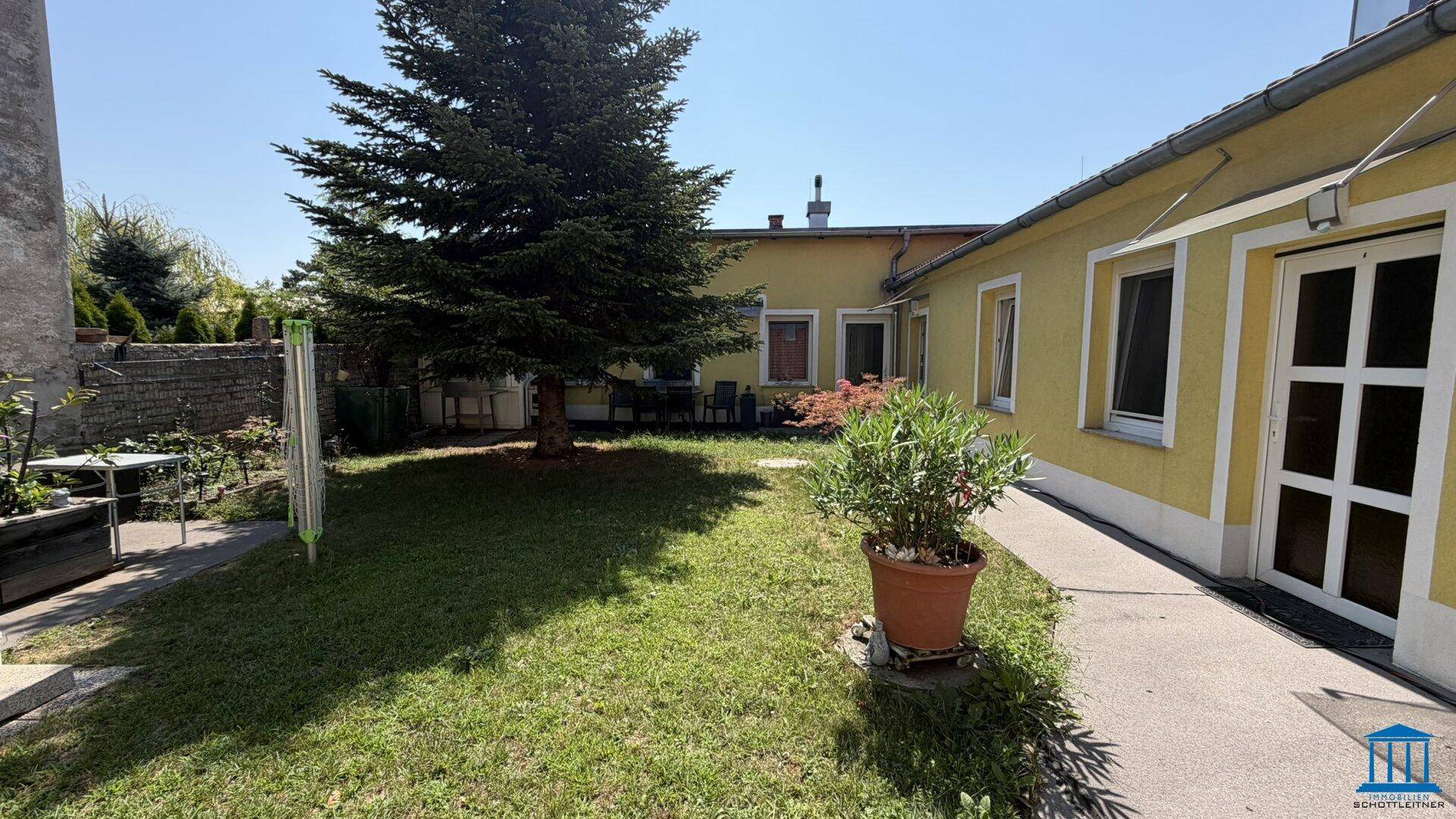 Sonniger Gartenbereich mit Rasen, einem großen Baum und der Seitenfassade des Hauses mit Fenstern.