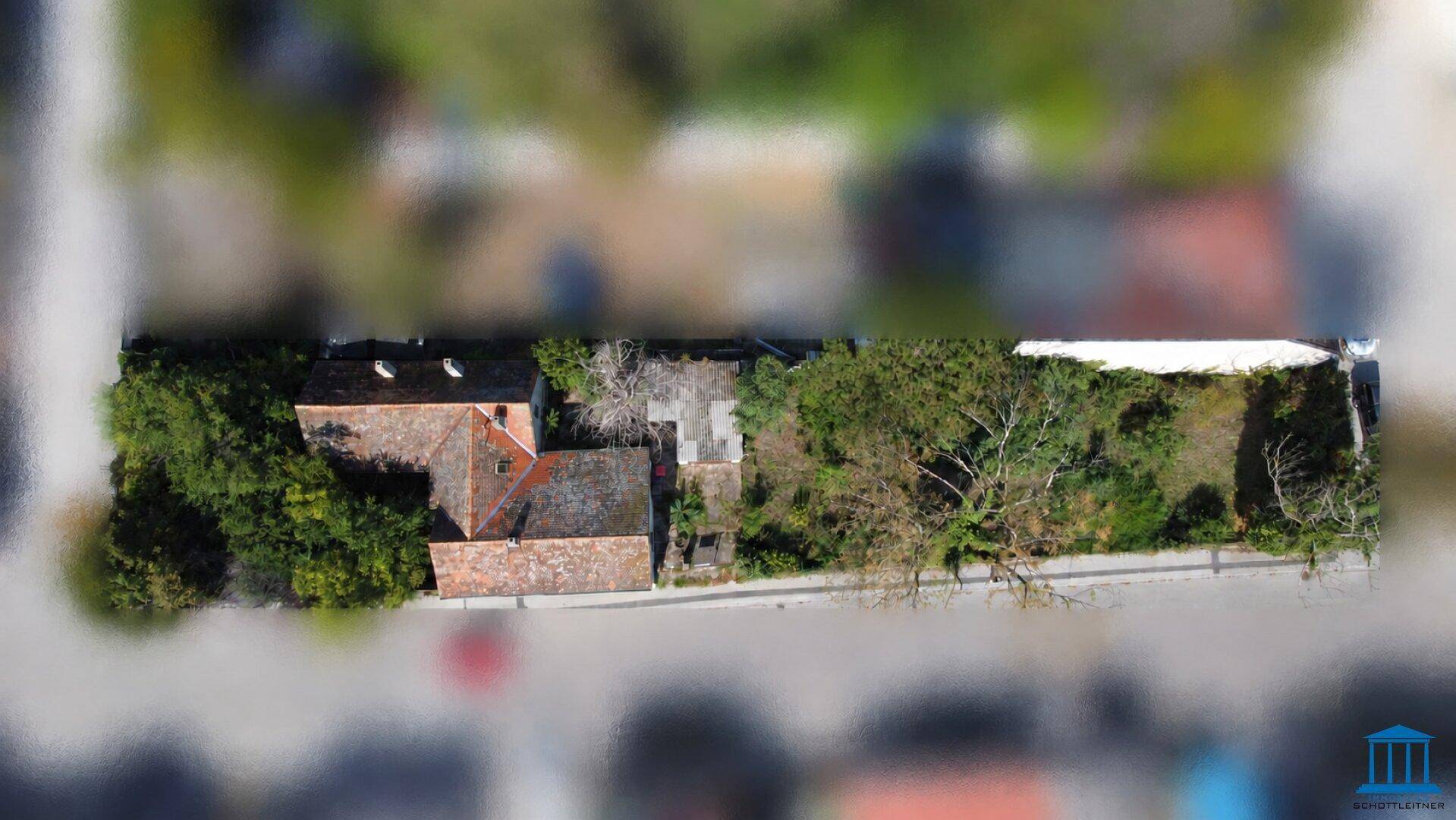 Vogelperspektive des Anwesens, die die Dächer der Gebäude und die umgebende dichte Vegetation zeigt.