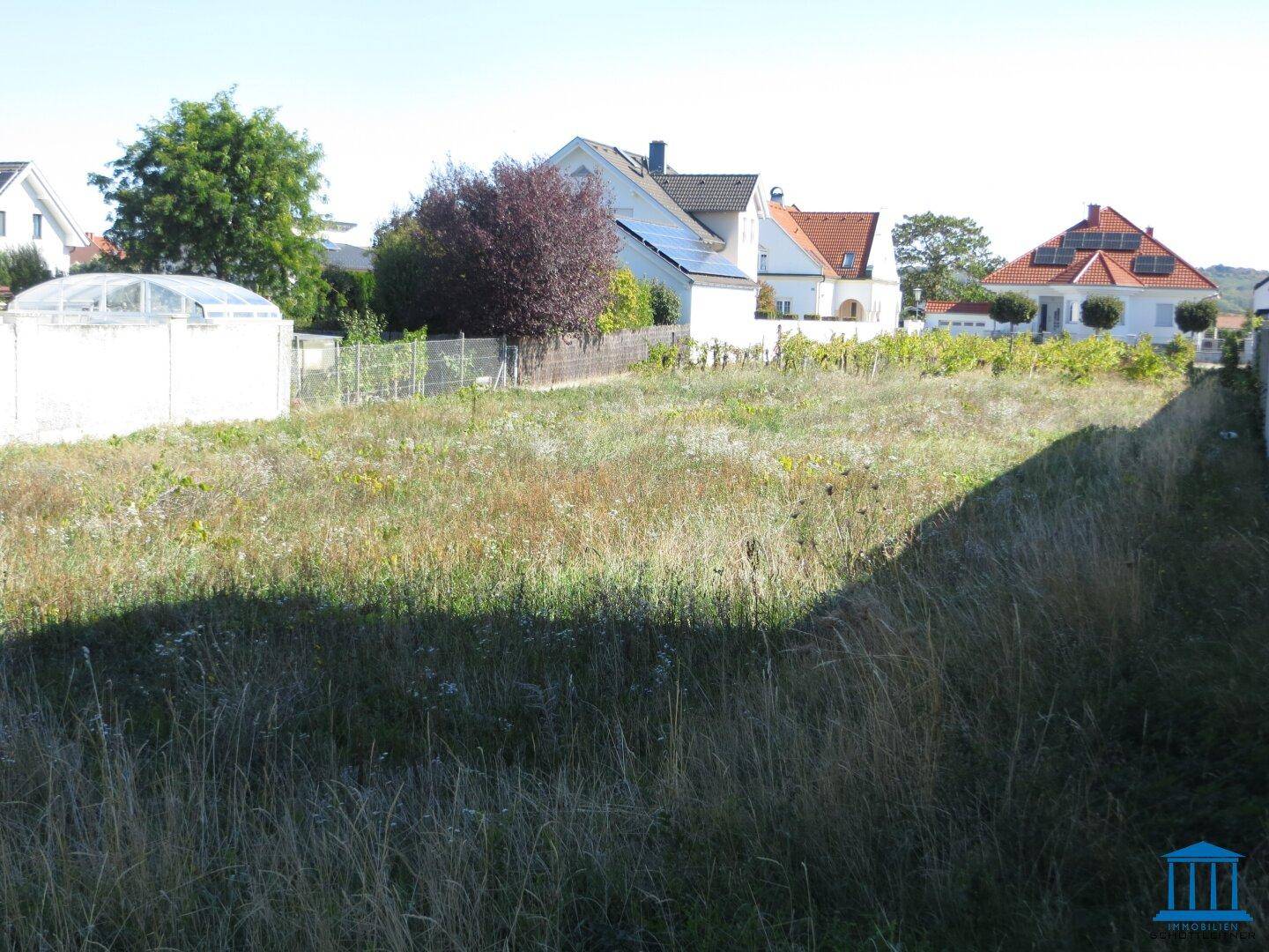 Weitläufiges Grundstück mit hohem Gras, umgeben von Wohnhäusern und einem kleinen Gewächshaus.