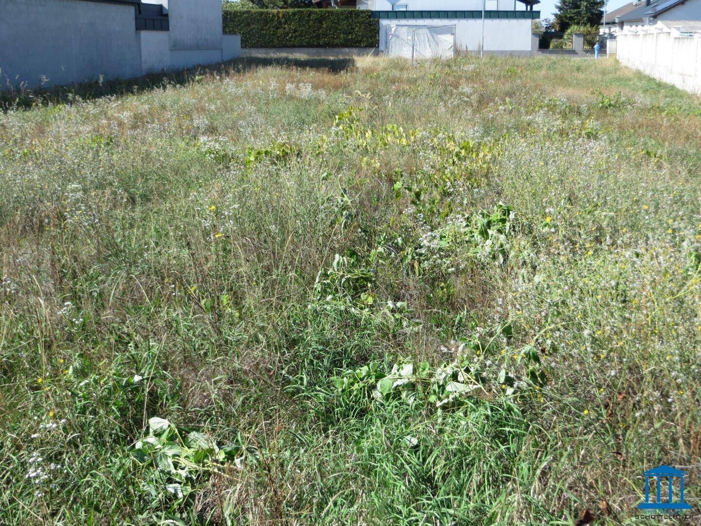 Unbebautes Grundstück mit üppiger Vegetation und Blick auf die umliegende Wohnbebauung.
