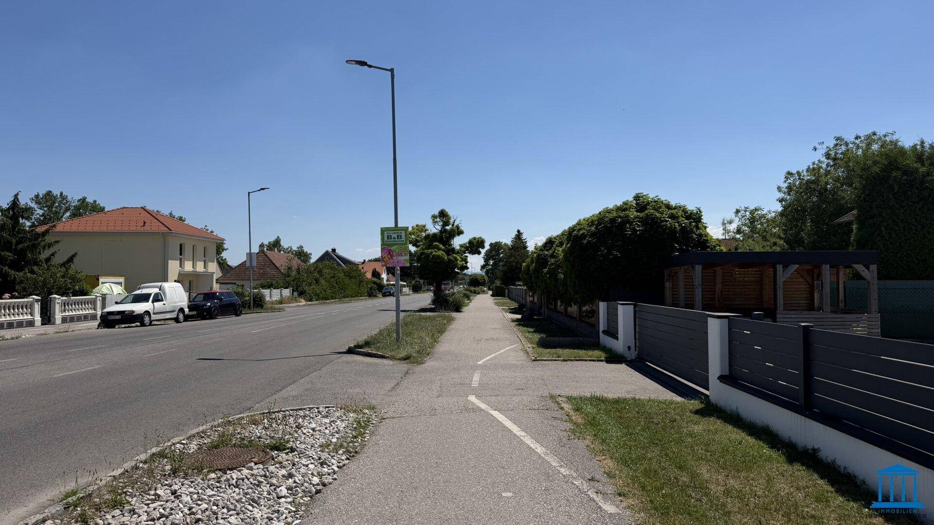 Weitläufige Straßenansicht mit Gehwegen, Bäumen und Wohngebäuden in der Umgebung.