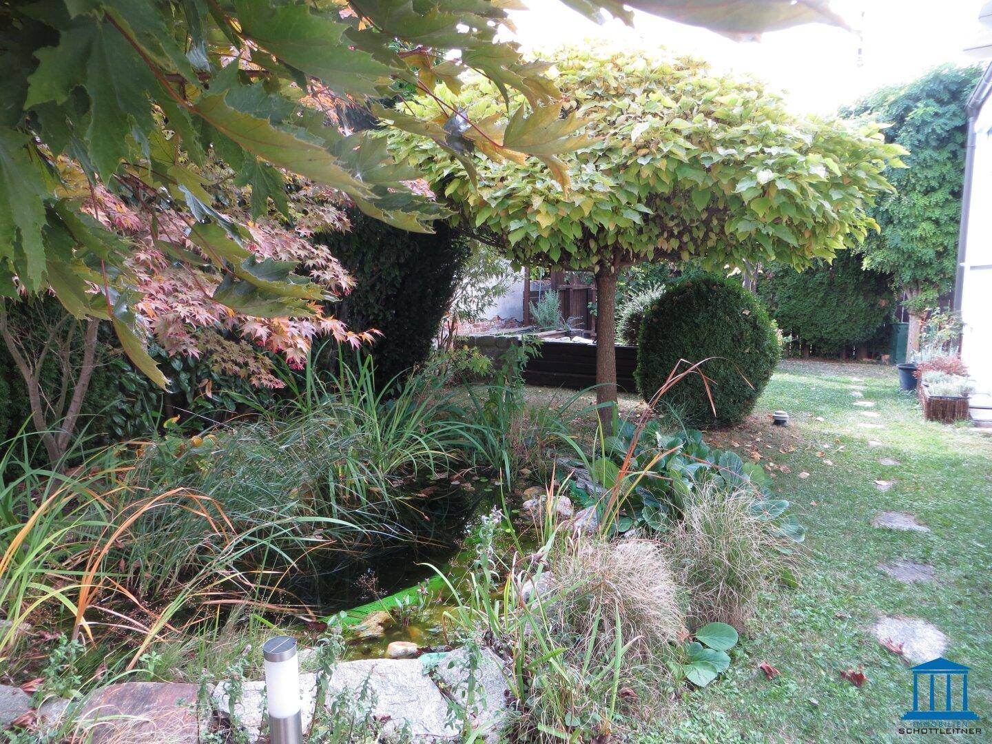 Naturnaher Garten mit einem kleinen Teich, umgeben von vielfältiger Bepflanzung und Bäumen.