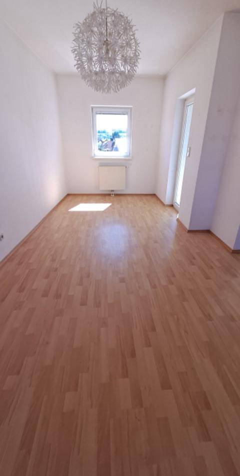 Heller, leerer Raum mit Laminatboden, großem Fenster und moderner Deckenleuchte.