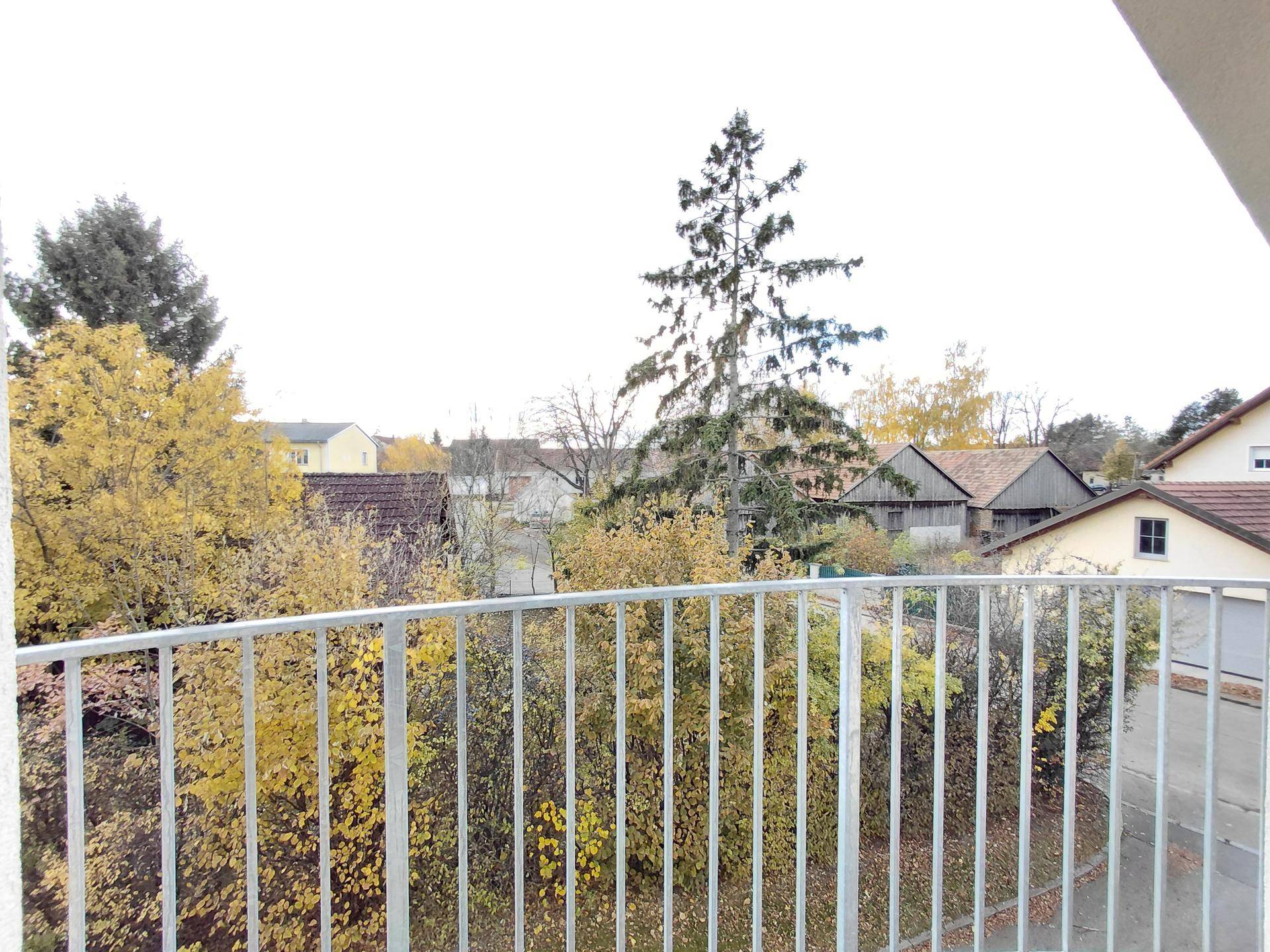 Blick von einem Balkon auf Bäume mit Herbstlaub und die umliegenden Häuser.