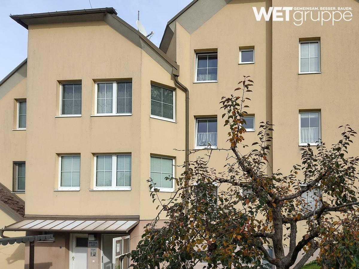 Fassade des Gebäudes mit mehreren Fenstern und dem Eingangsbereich, umgeben von Bäumen.
