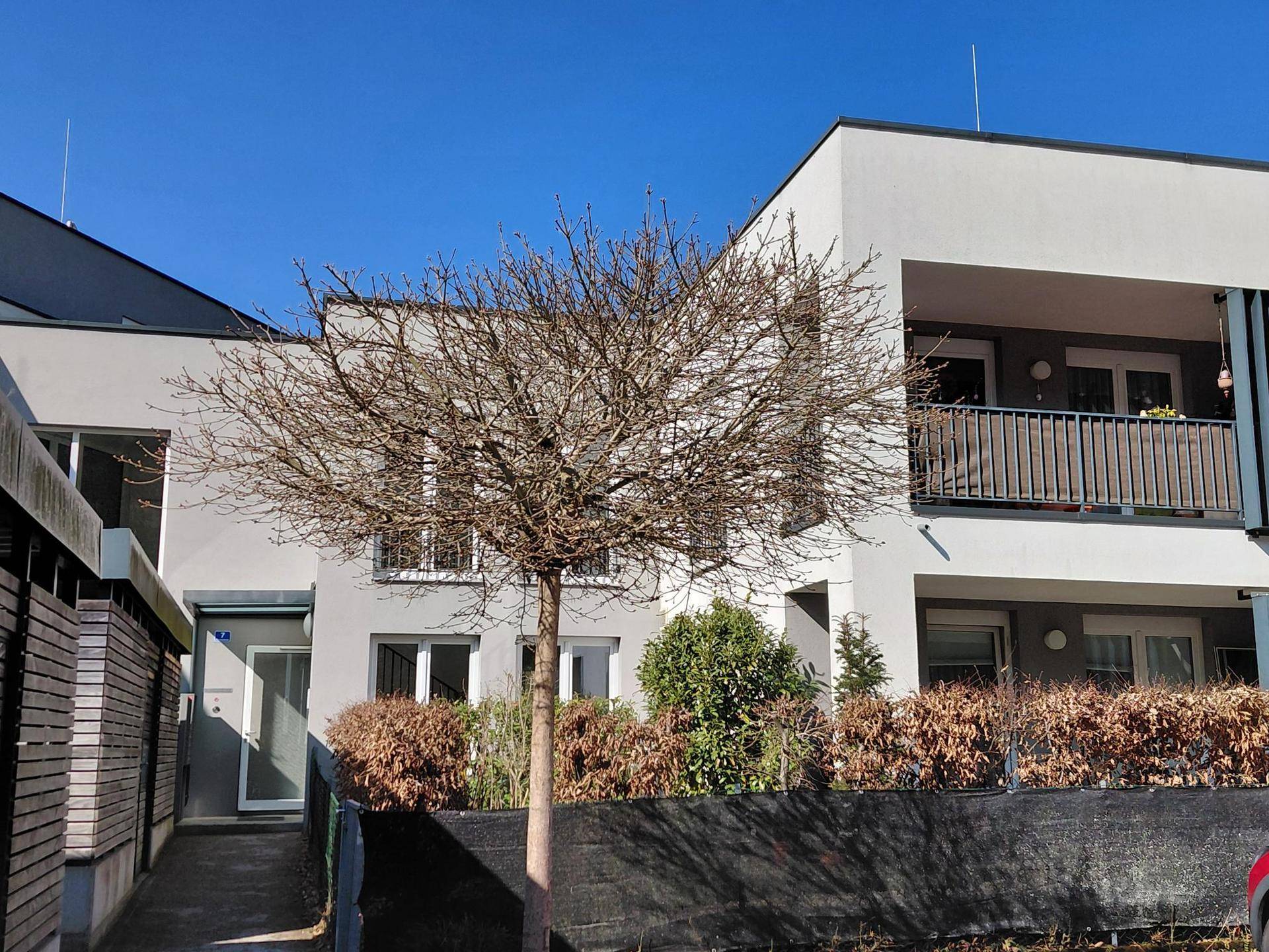 Moderne Wohnfassade mit Balkonen und gepflegter Hecke im Vordergrund.