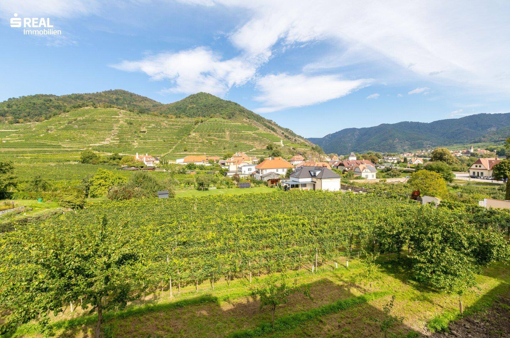 Weitläufiger Panoramablick über grüne Weinberge, ein Dorf und die majestätischen Berge im Hintergrund.