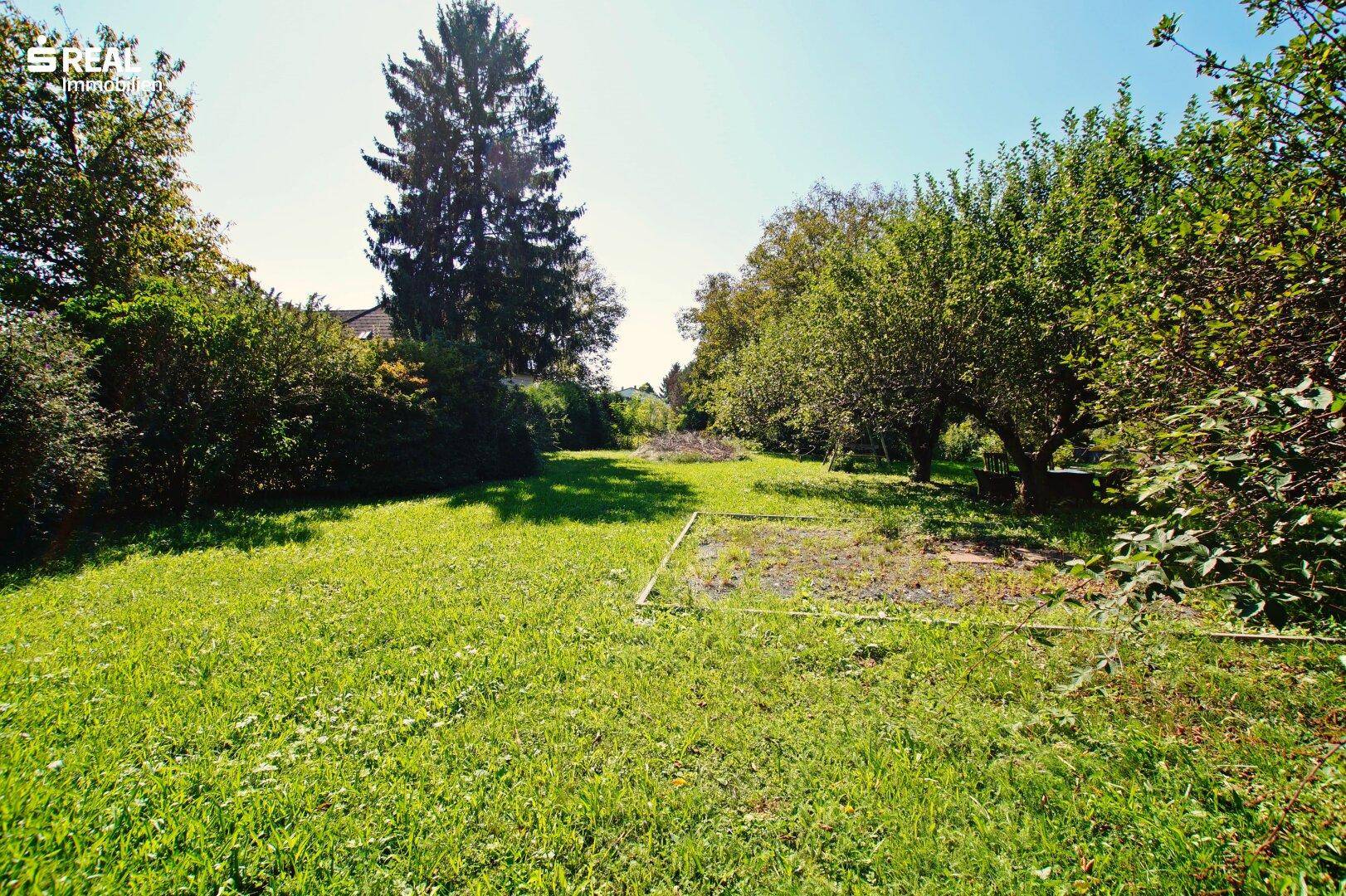 Weitläufige Rasenfläche in einem sonnigen Garten mit Bäumen im Hintergrund.