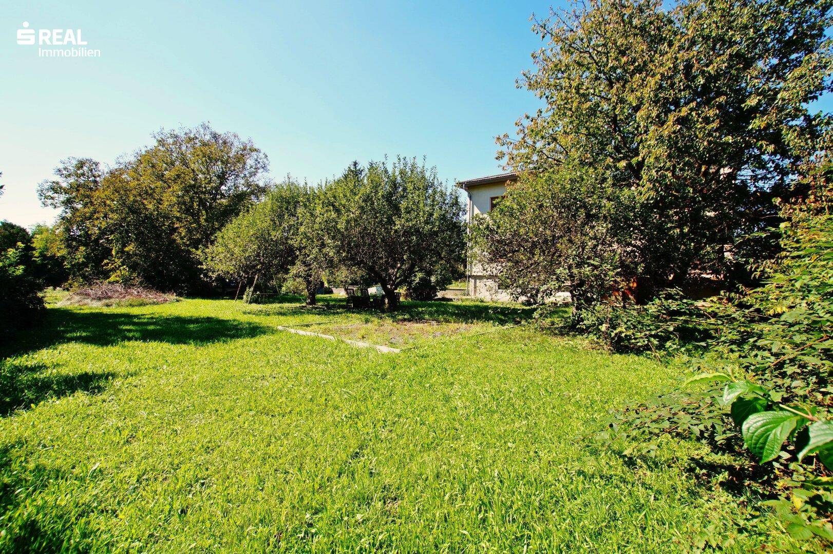 Großer Garten mit gepflegtem Rasen und altem Baumbestand, im Hintergrund ist das Haus sichtbar.