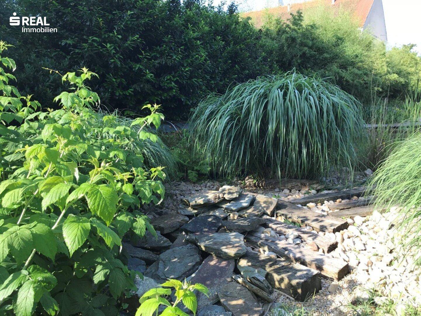 um den Teich....