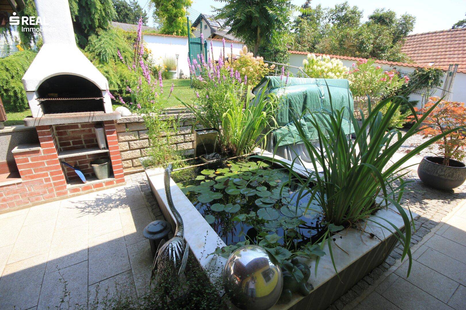 Biotop auf der Terrasse