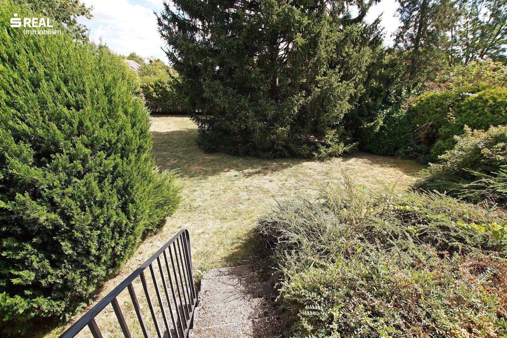 Sonnenland Burgenland! Traumhafter Bungalow mit Vollkeller und Carport in toller Lage! - Widok 6