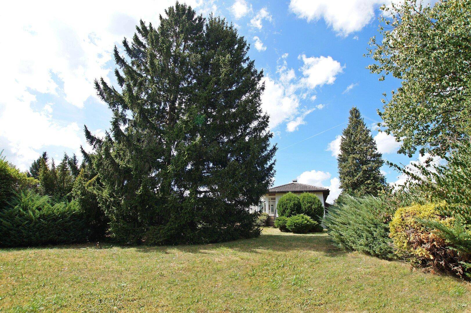 Sonnenland Burgenland! Traumhafter Bungalow mit Vollkeller und Carport in toller Lage! - Widok 3