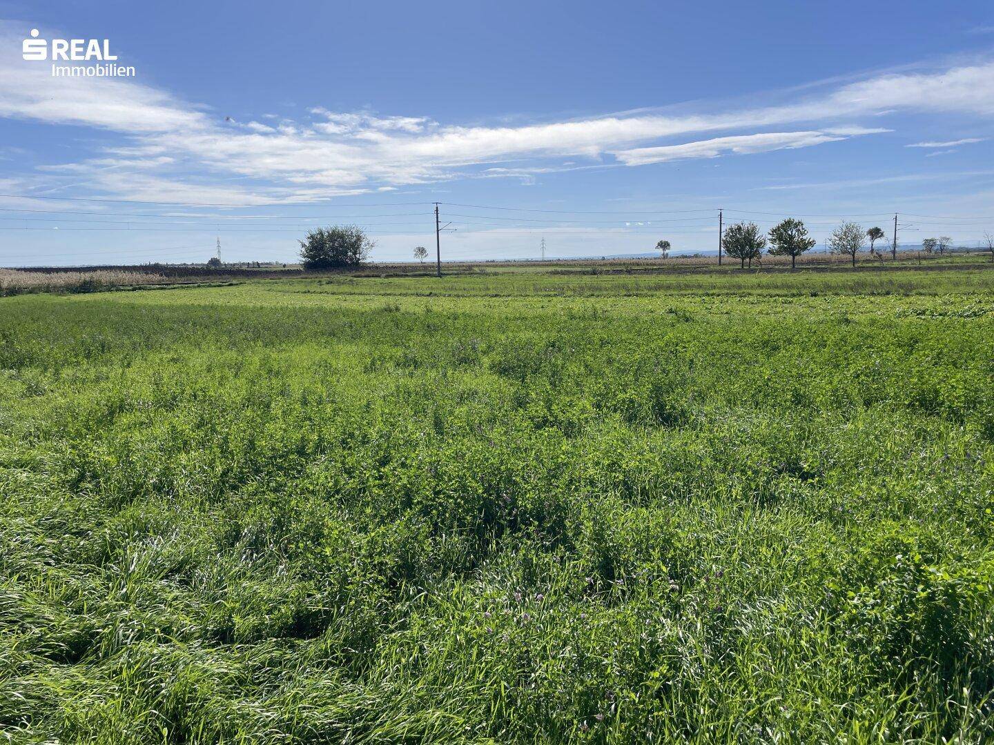 Offene grüne Fläche mit weitem Blick in die Natur und klarem Himmel, perfekt für Erholung.
