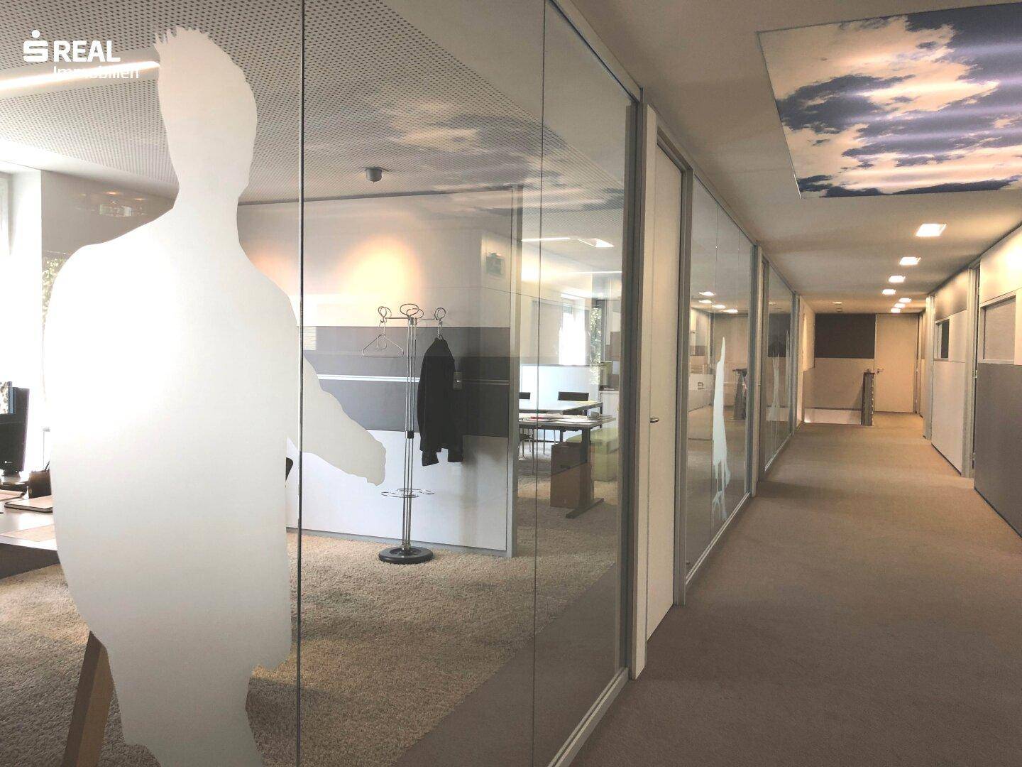 Heller Bürogang mit Glaswänden zu den Büros und einer dekorativen Deckenverkleidung.