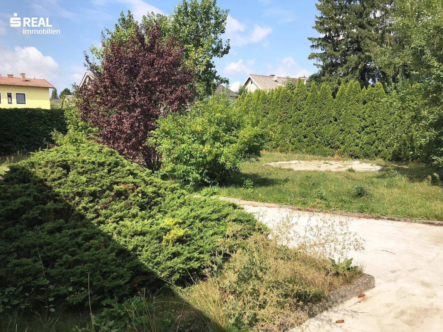 Gepflegte Hecken und Bäume im Gartenbereich mit Blick auf die Nachbarschaft.