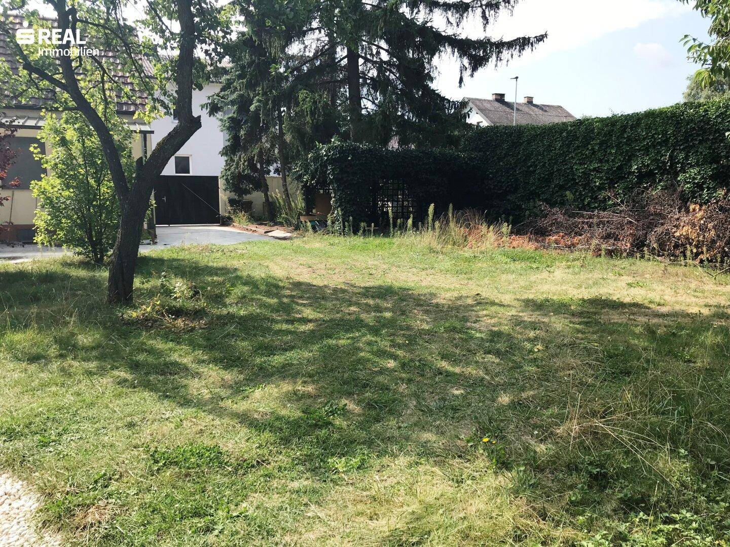 Weitläufige Rasenfläche im Garten mit hohen Hecken und angrenzendem Gebäude.