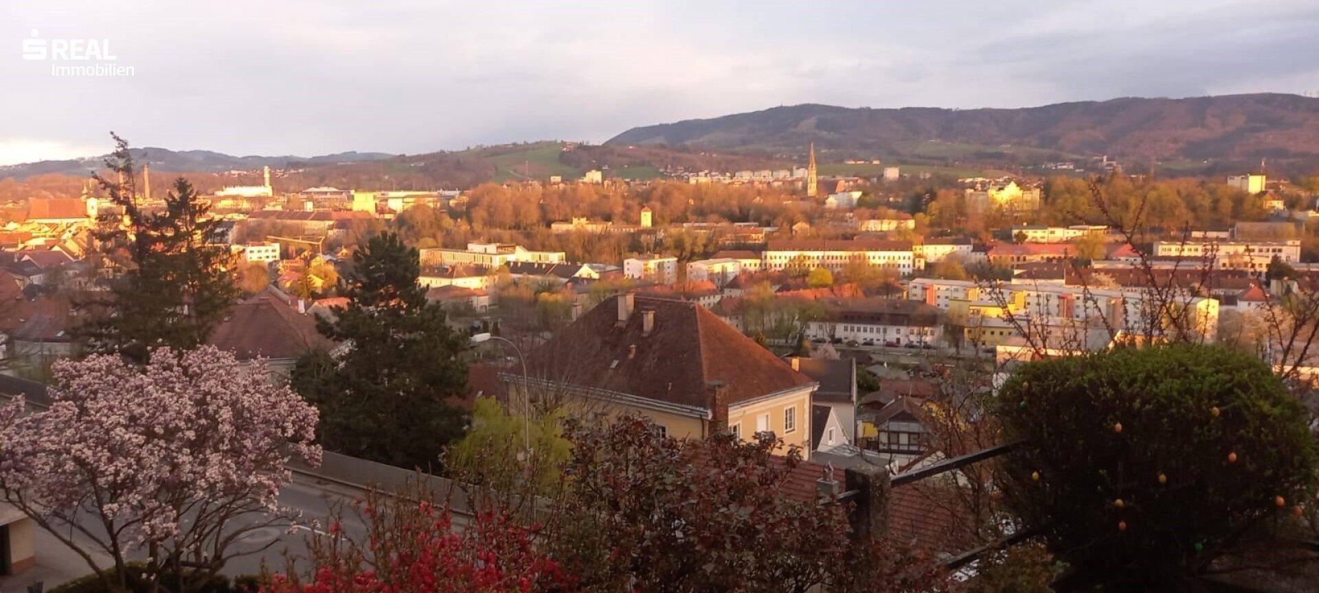 Blick auf Steyr