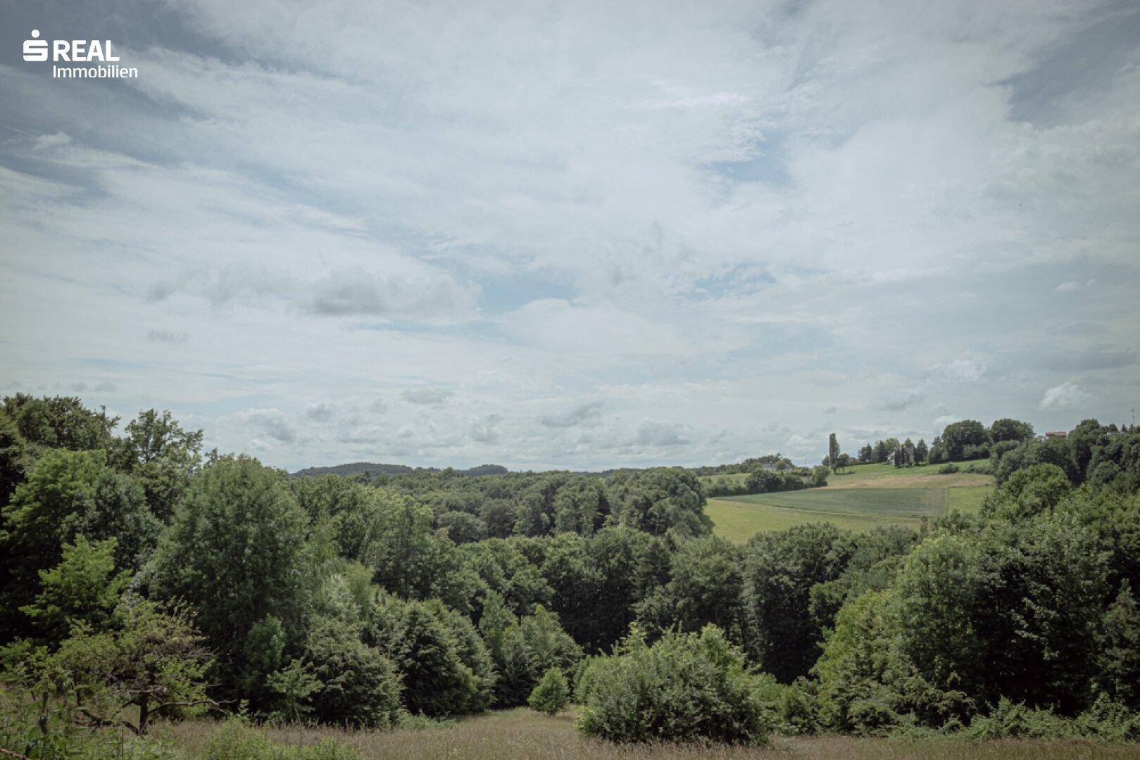 Blick West von der Küche