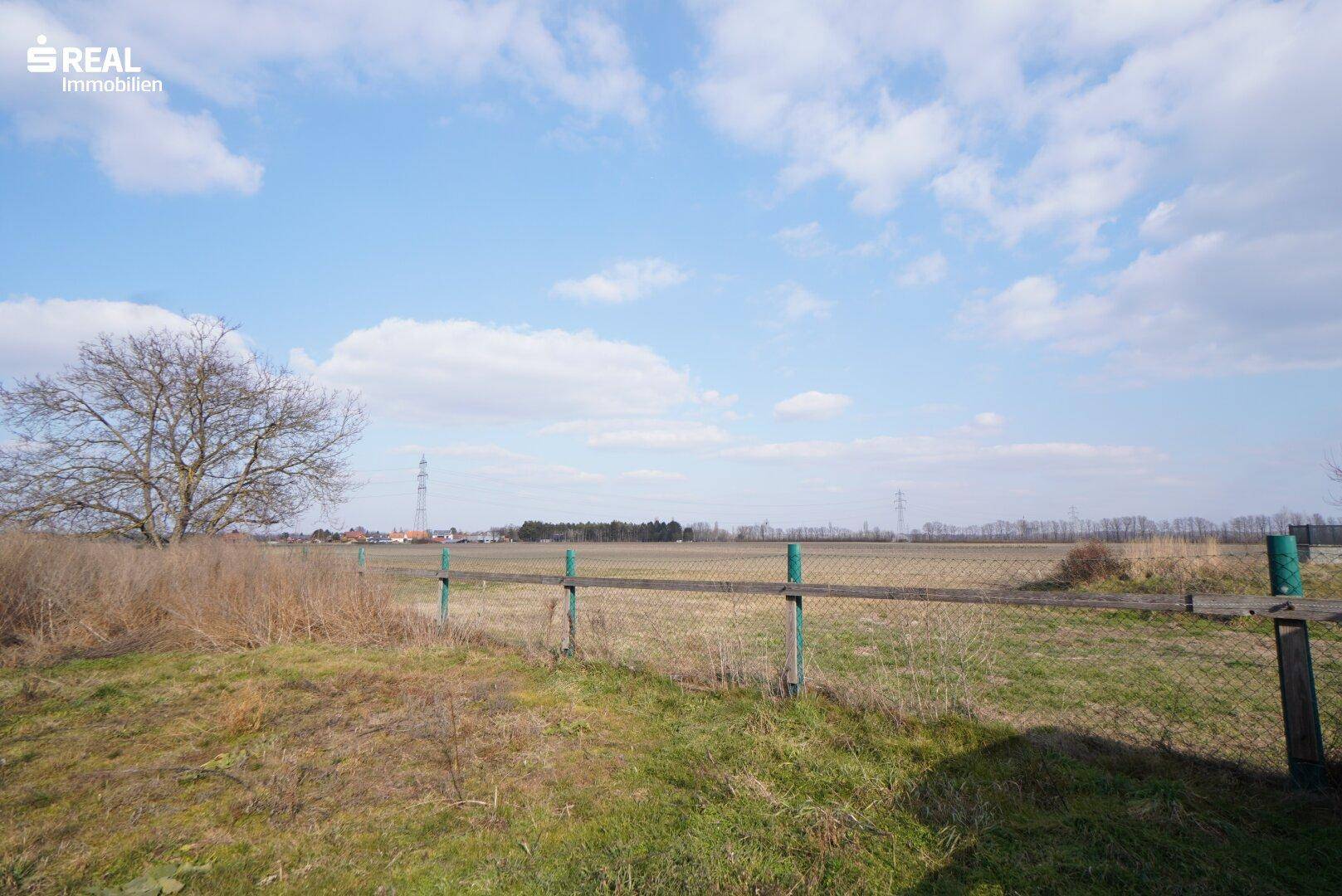 Weitläufige Landschaft mit Feldern und blauem Himmel, ideal für Naturliebhaber.