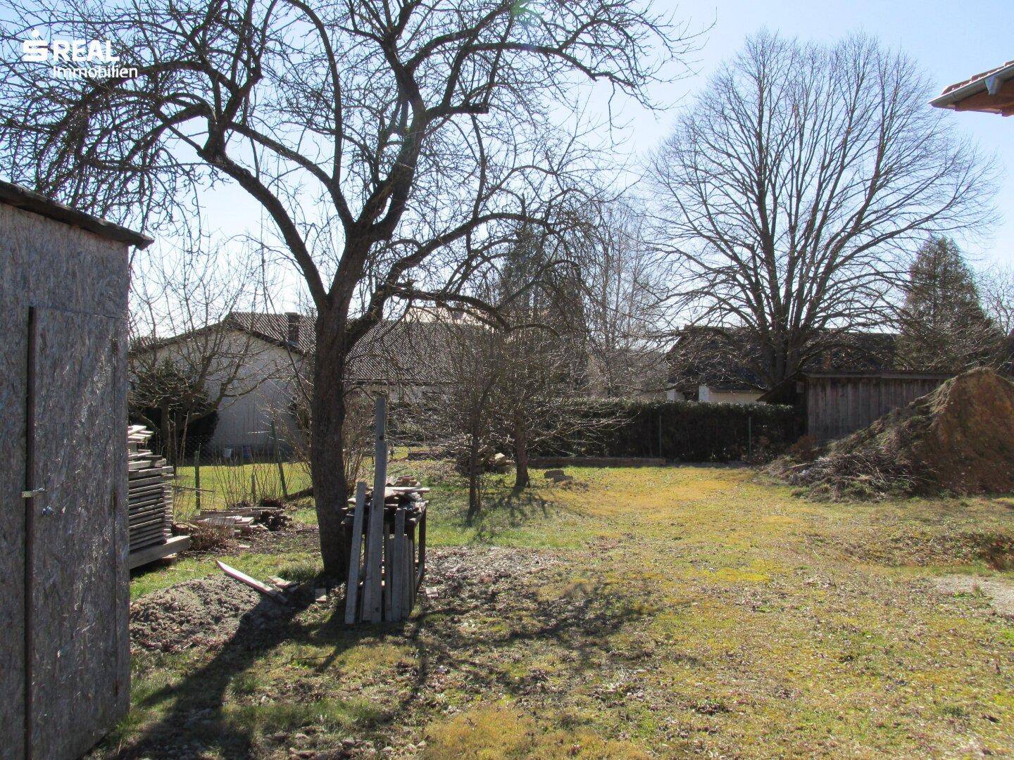 Großer Gartenbereich mit alten Bäumen und einem Schuppen, bereit für die Landschaftsgestaltung.