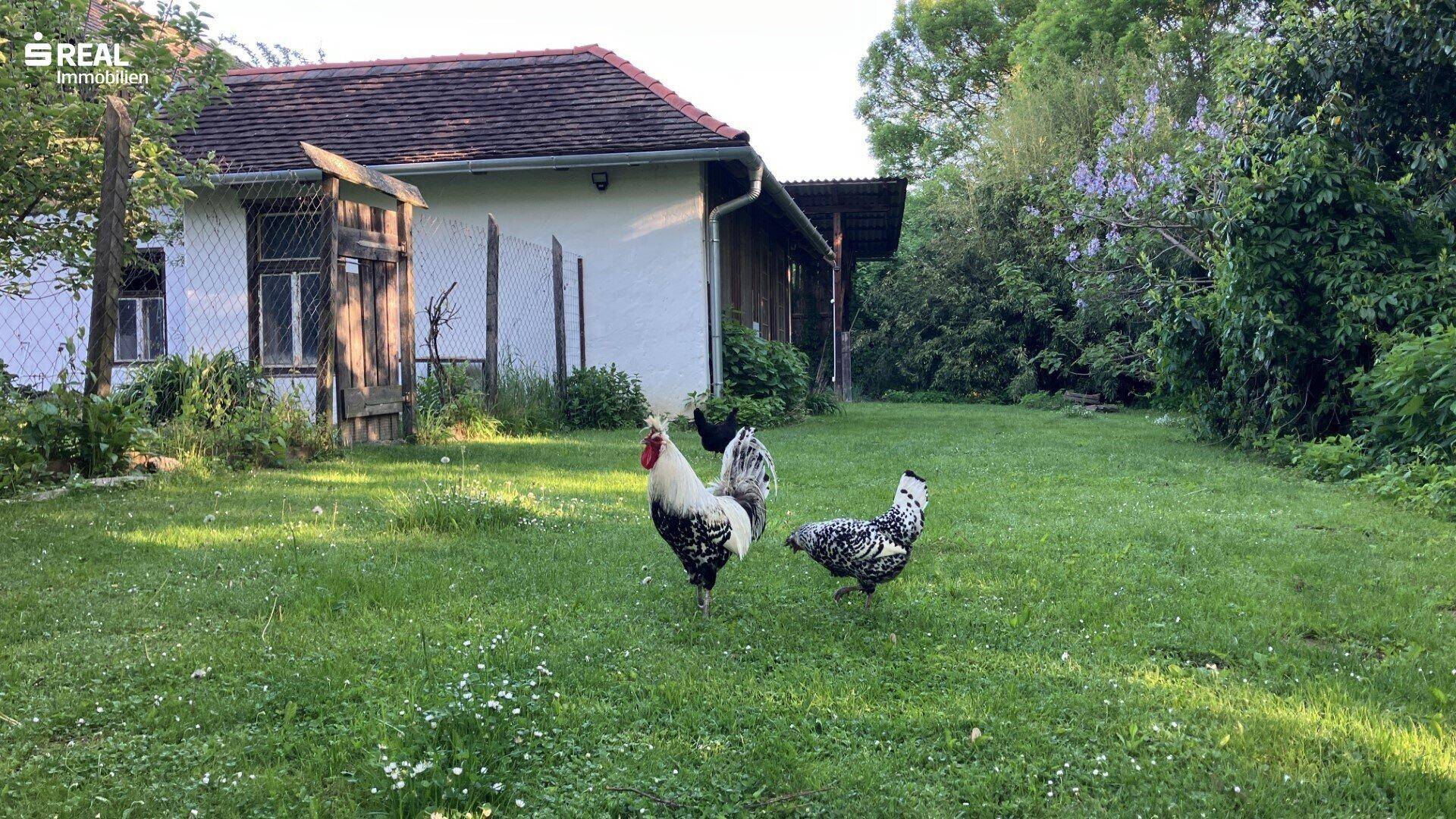 Am Morgen, erste Tour.....
