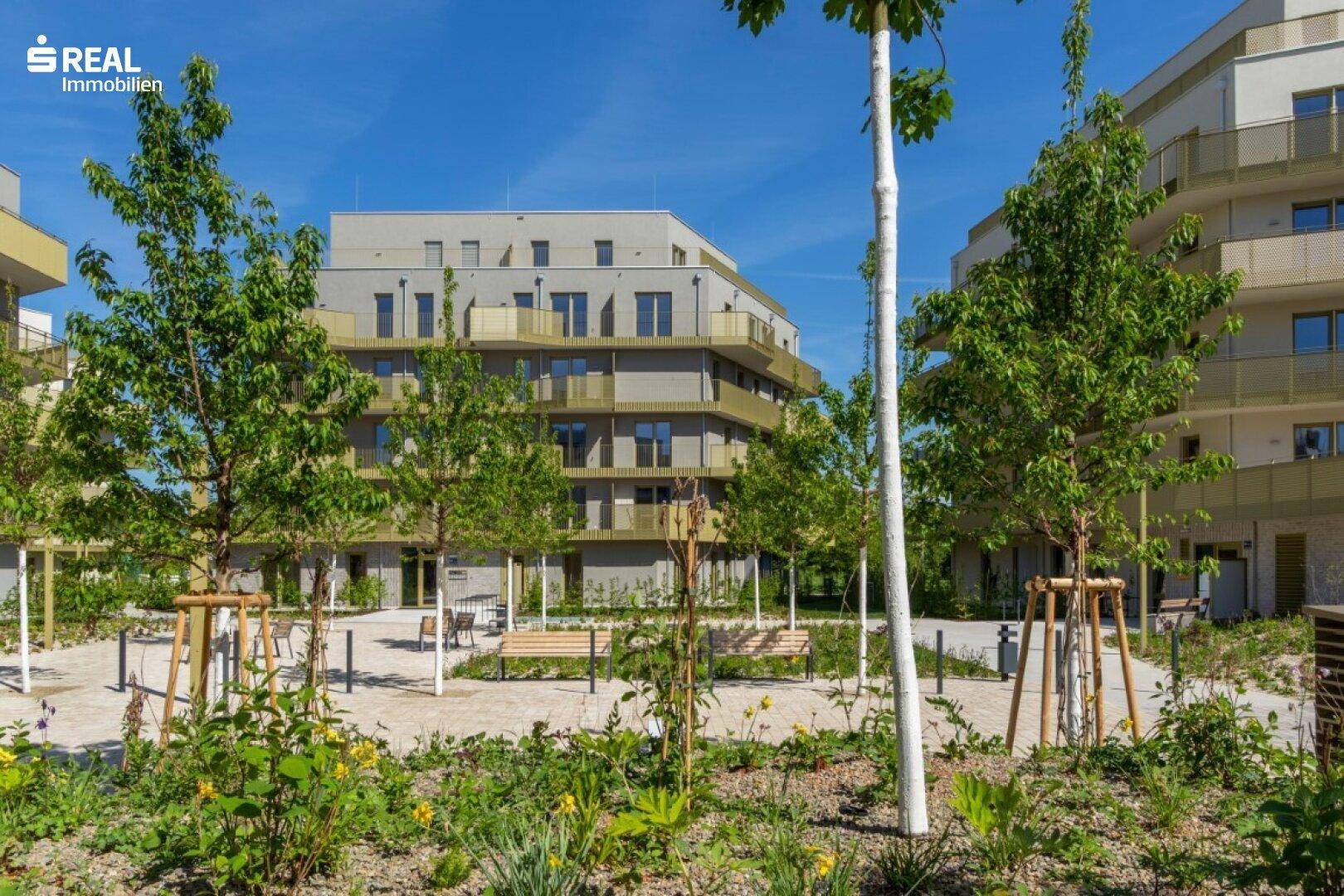 Moderne Wohngebäude umgeben von jungen Bäumen und gepflegten Grünflächen.