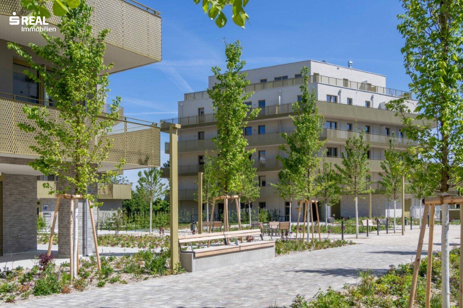 Blick auf die moderne Wohnanlage mit gepflasterten Wegen, jungen Bäumen und Sitzbänken im Außenbereich.
