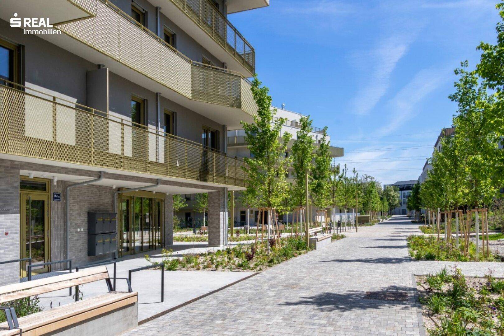 Moderne Wohnanlage mit ansprechender Fassade, Balkonen und einem gepflasterten Weg mit jungen Bäumen.
