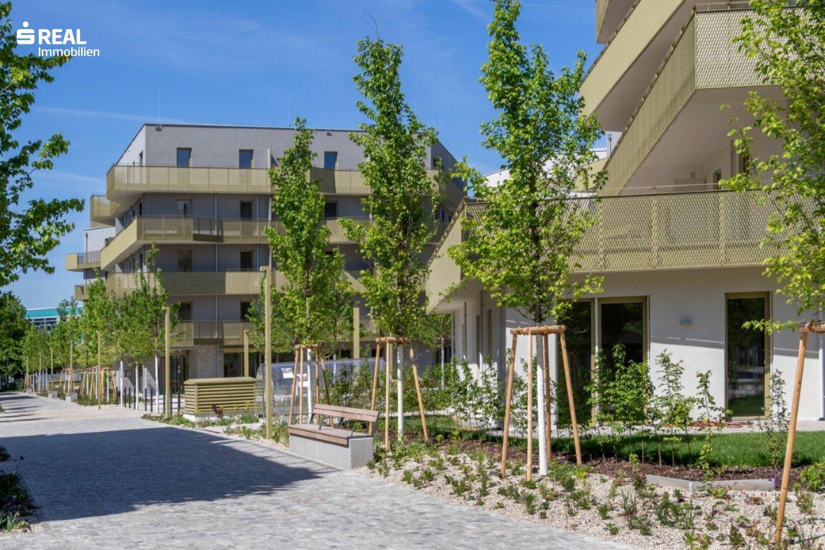 Fußweg entlang eines modernen Wohngebäudes mit Bänken und neu gepflanzten Bäumen.