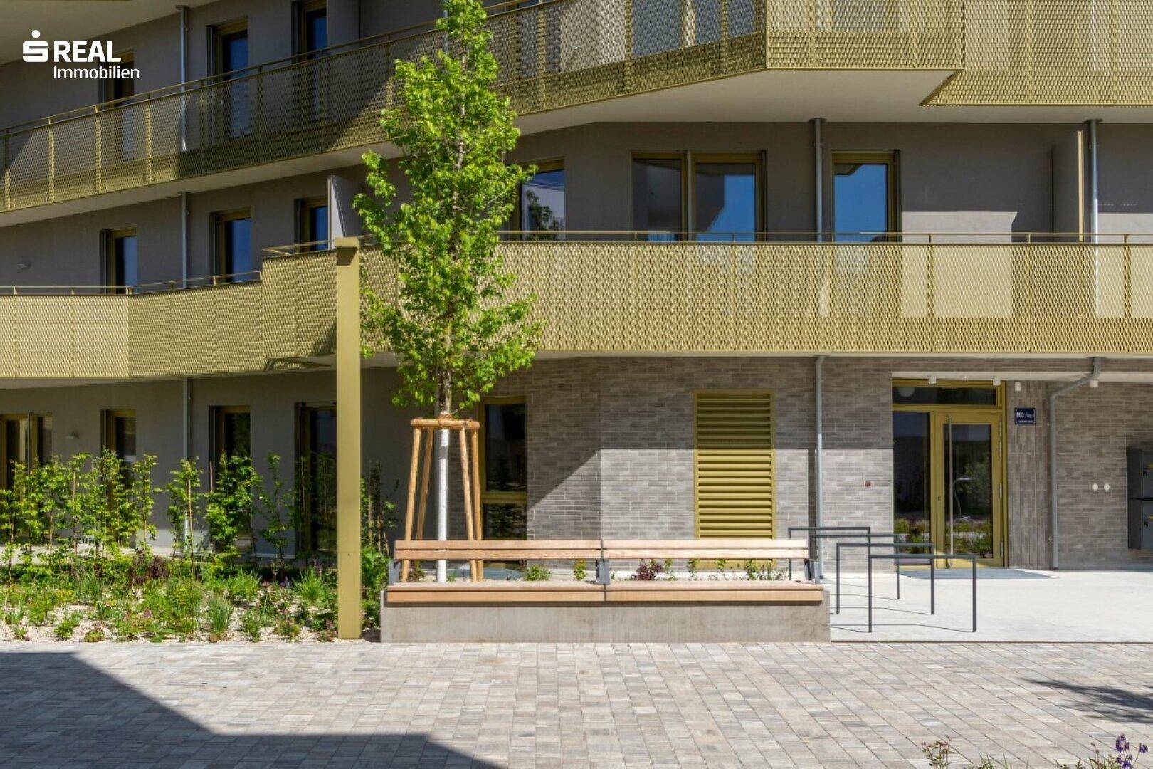 Erdgeschoss eines modernen Gebäudes mit einer langen Holzbank und einem jungen Baum auf gepflastertem Bereich.