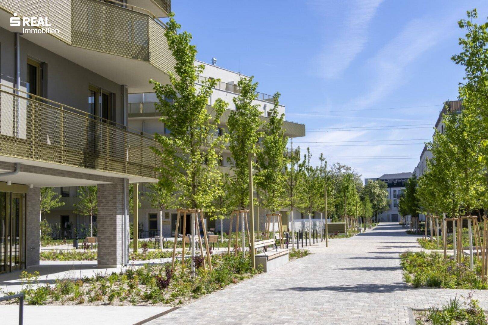 Eine ruhige Wohnstraße mit neuen Gebäuden, jungen Bäumen und gepflasterten Gehwegen an einem sonnigen Tag.