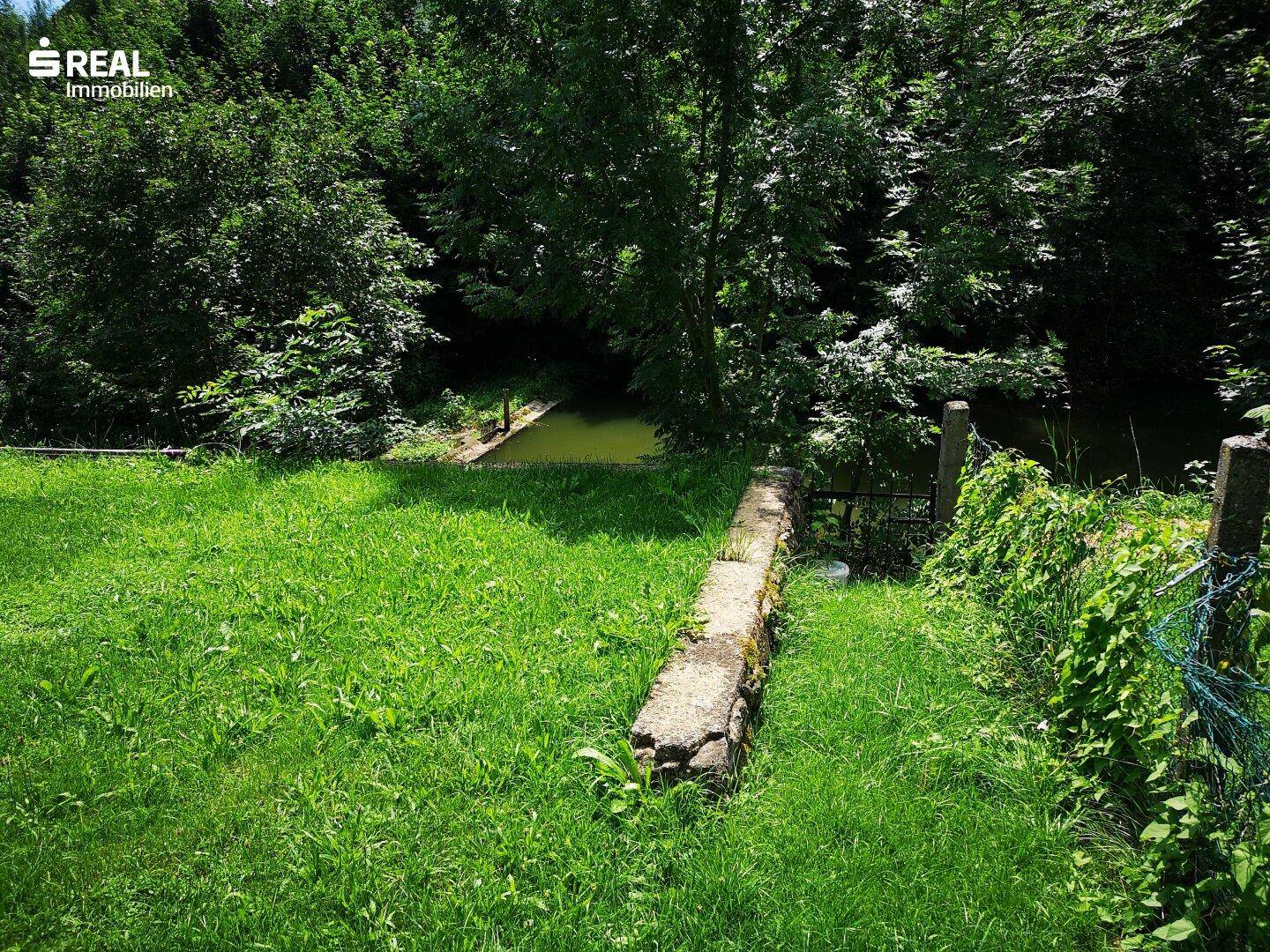 Naturbelassener Gartenbereich mit einer Wiese, die zu einem Teich und dichtem Wald führt.