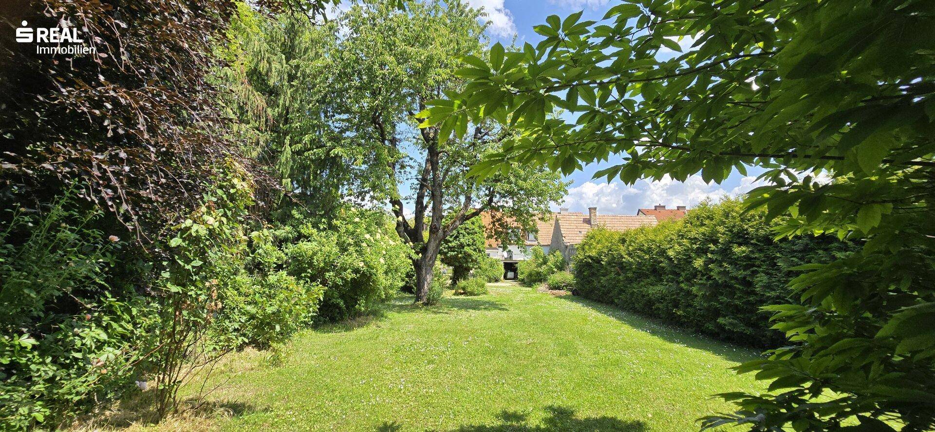 Garten 2