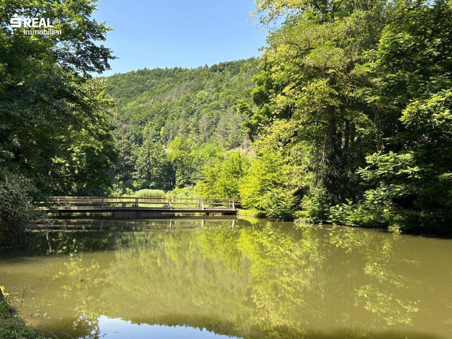 Malerischer Teich mit Holzbrücke, umgeben von üppiger grüner Vegetation.