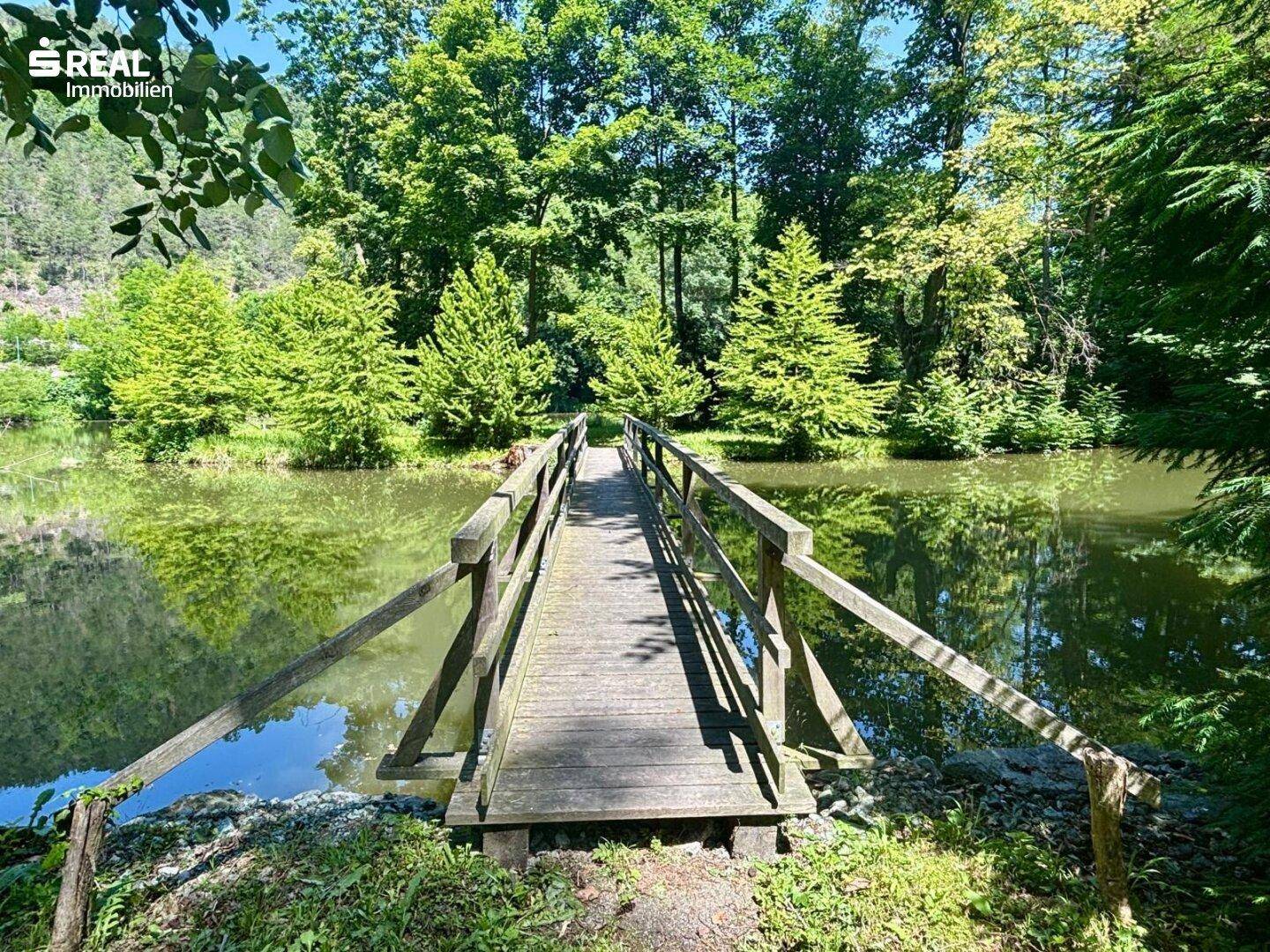 Holzbrücke über einen Teich, eingebettet in eine idyllische Naturlandschaft.
